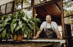 Ein Mann in Schürze lehnt sich aus einem Fenster, im Vordergrund eine Pflanze.