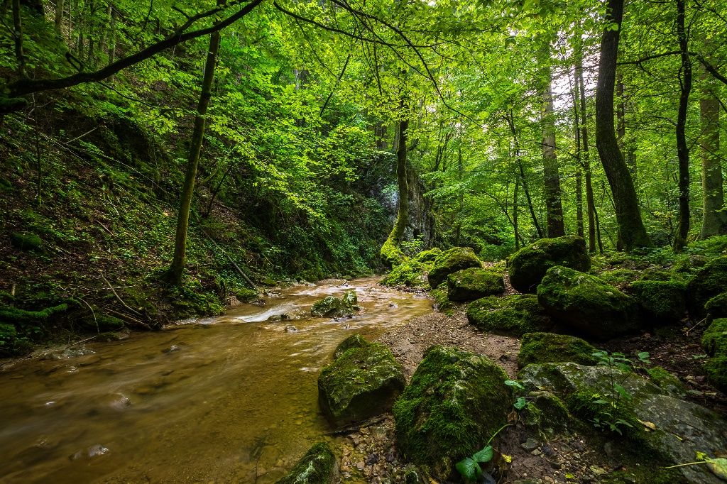 Johannesbach Gorge