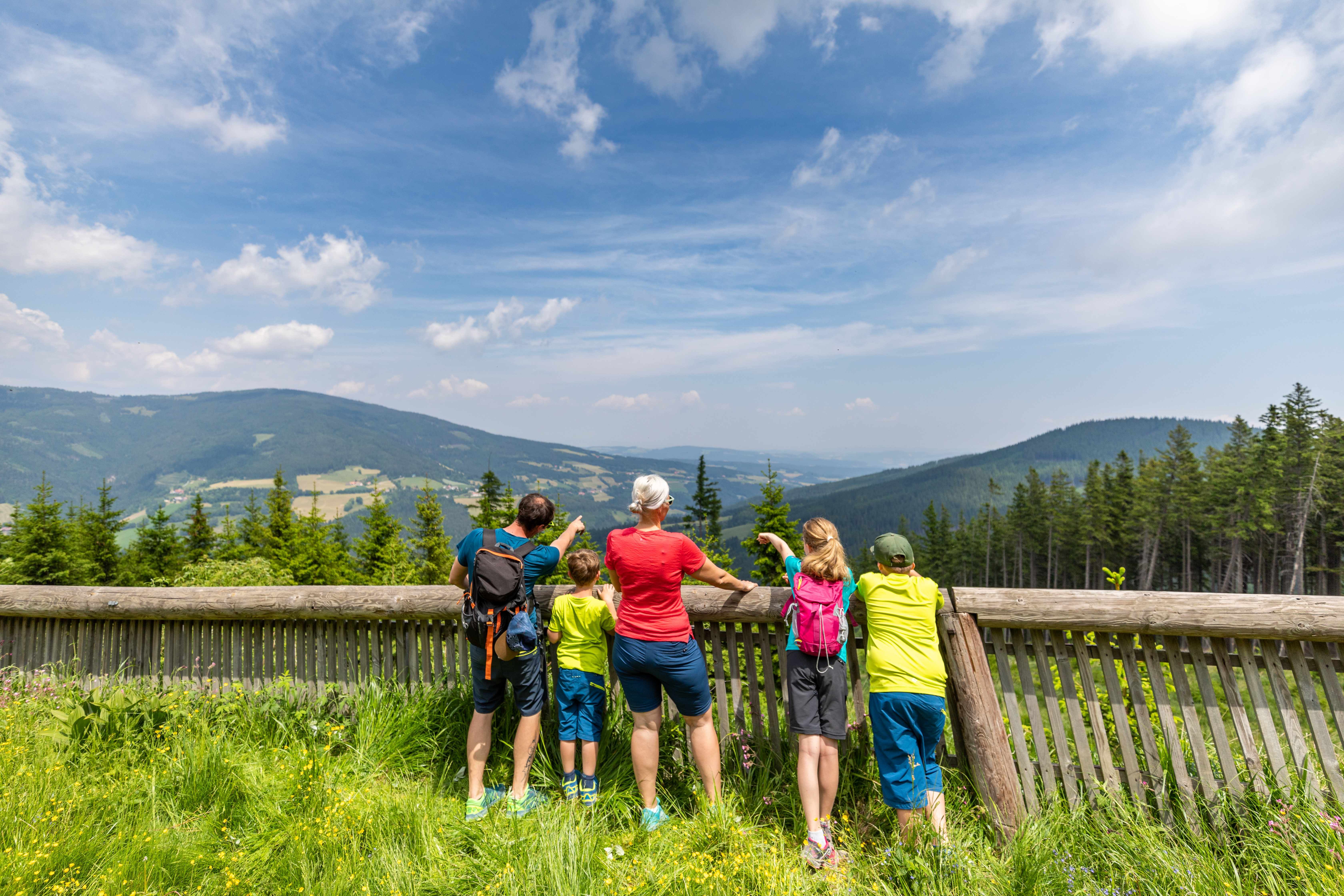 Erlebnisalm_Schaukelweg_midres_6000(c)Erlebnisalm_Mönichkirchen_Kremsl