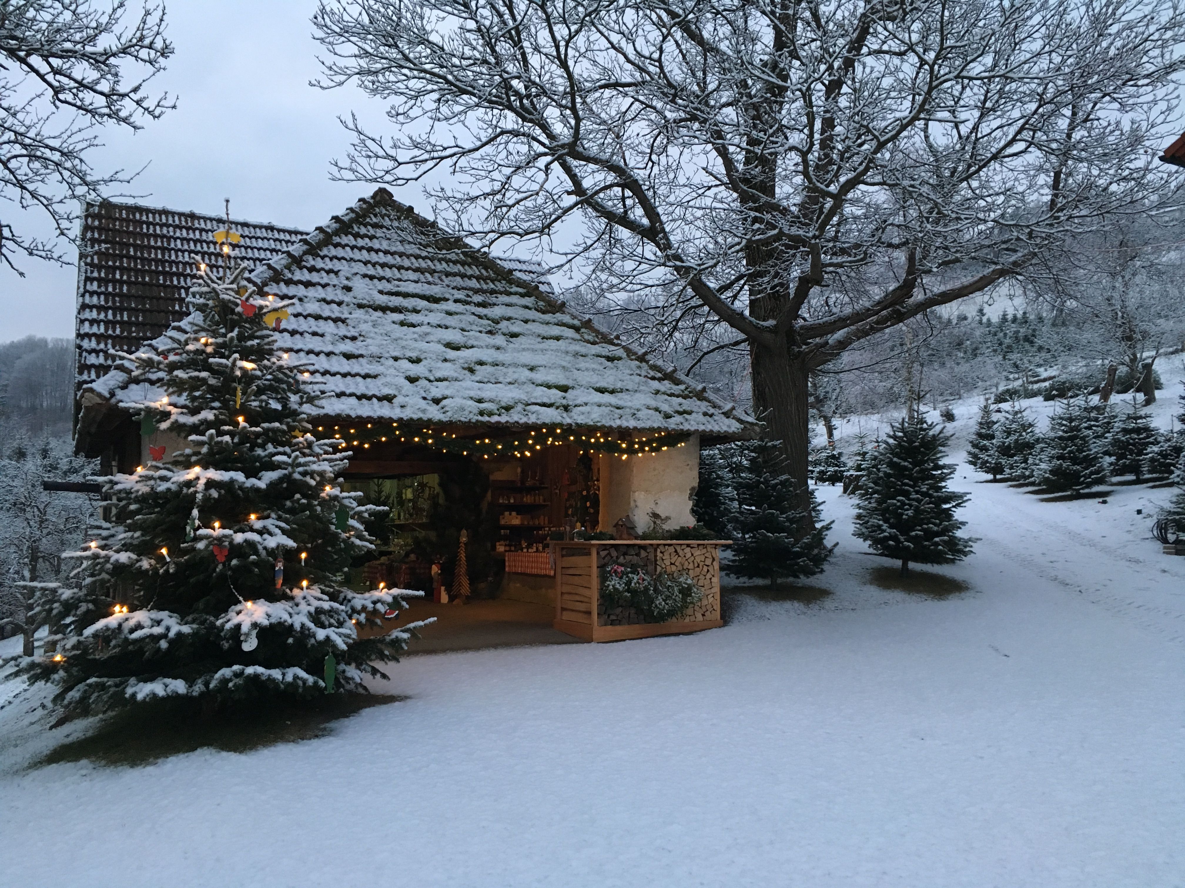The Spenger family's snow-covered Christmas tree sale, featuring a lit fir tree in front of a small farm stand in an old building in winter.