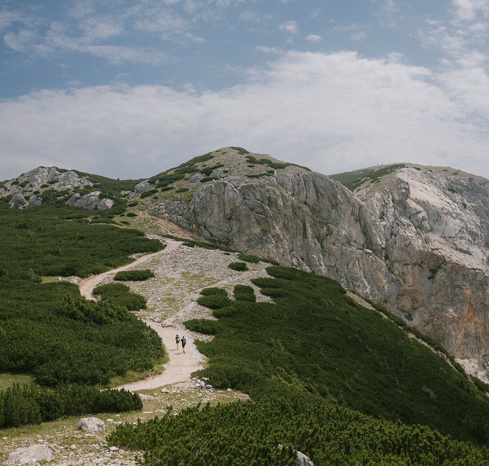 Wanderweg durch Latschen zu den felsigen Höhen der Rax
