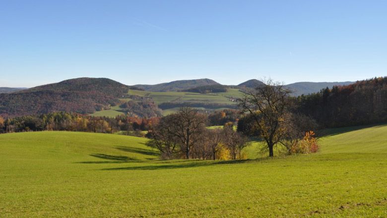 Hügelige Landschaft mit grünen Wiesen und Bäumen unter blauem Himmel.