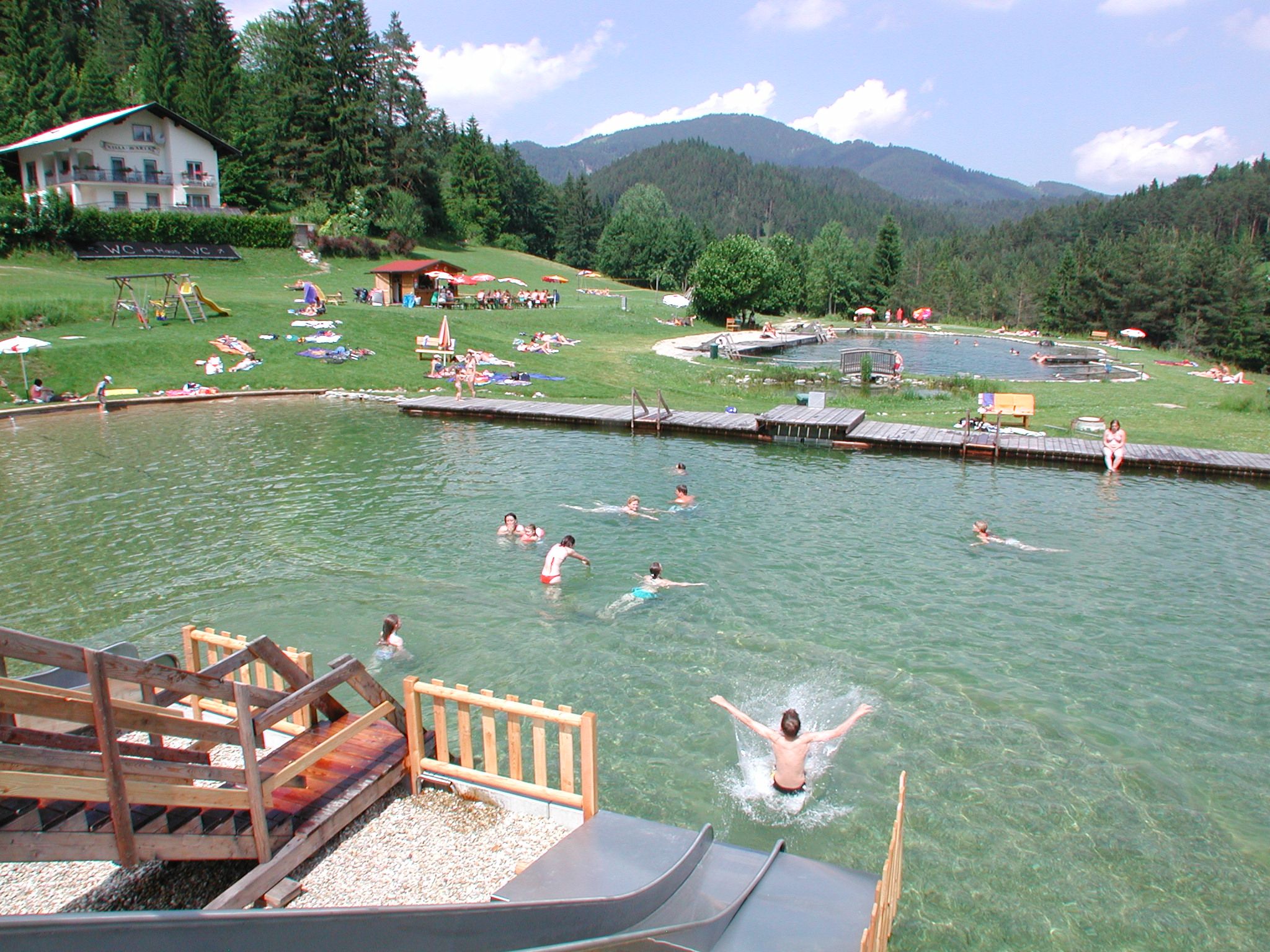 Menschen schwimmen in einem Naturbadesee mit umliegender Wiese und Wald.