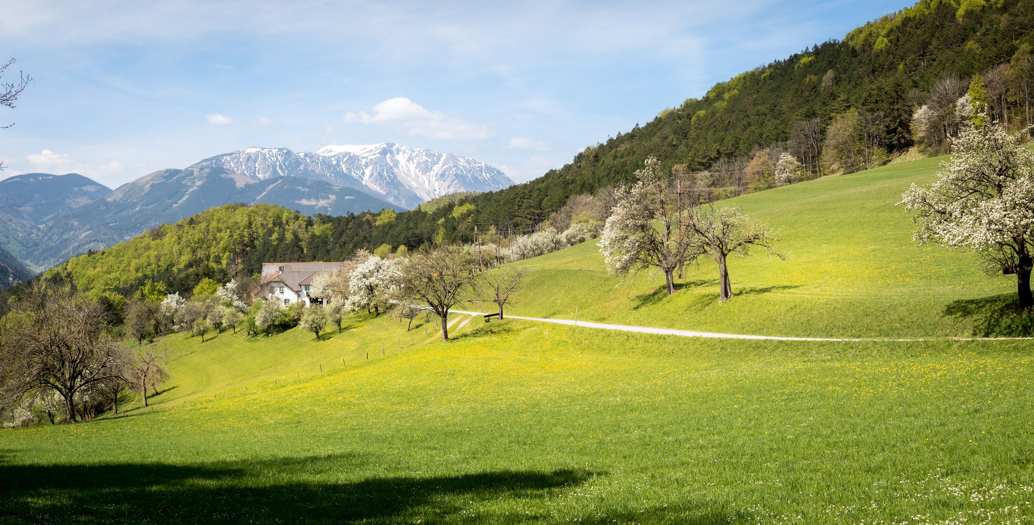 Landscape in the Schneeberg region