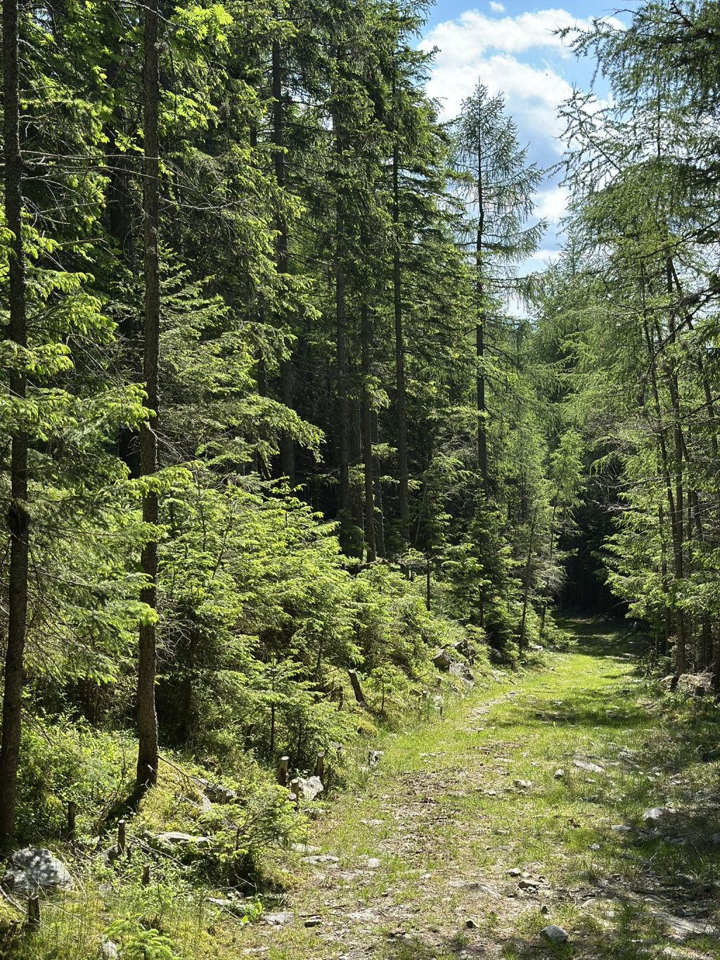 Barfußweg