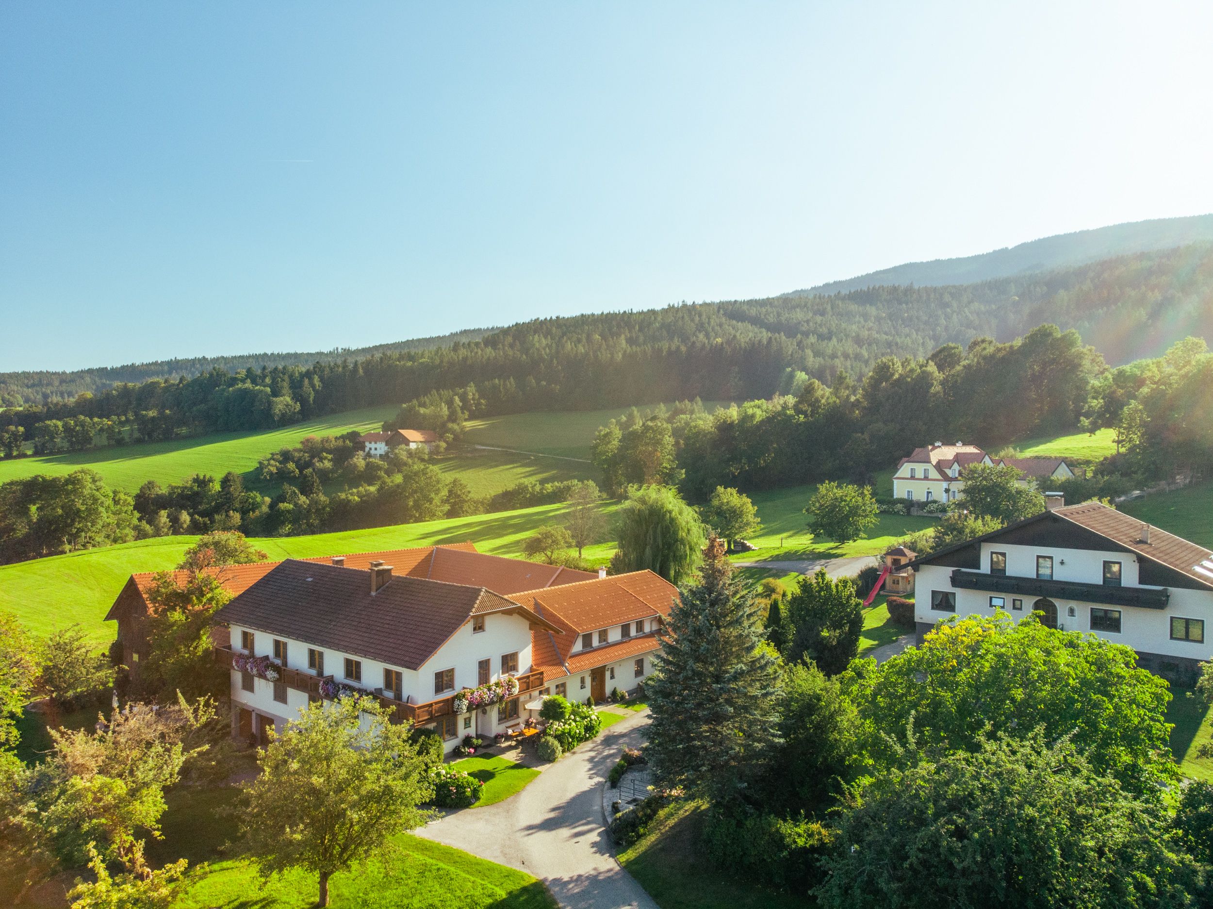 Ländliche Landschaft mit Häusern, Wiesen und Wald im Hintergrund.