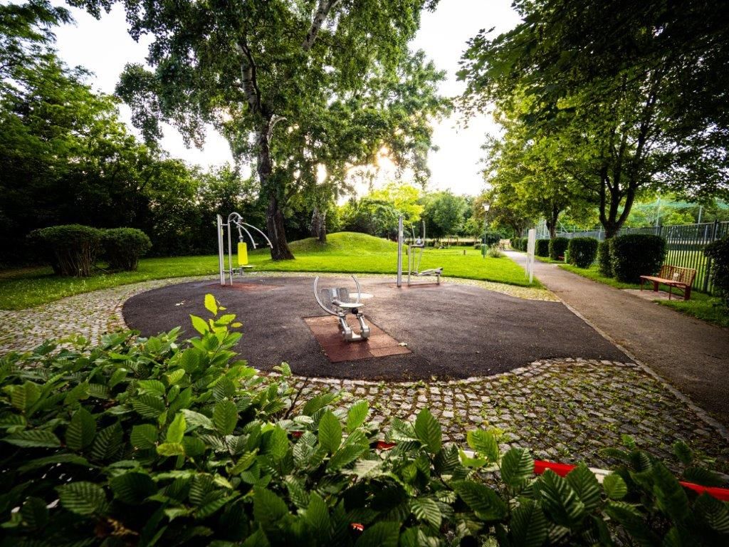 Ein Park mit Fitnessgeräten und Bäumen im Hintergrund.