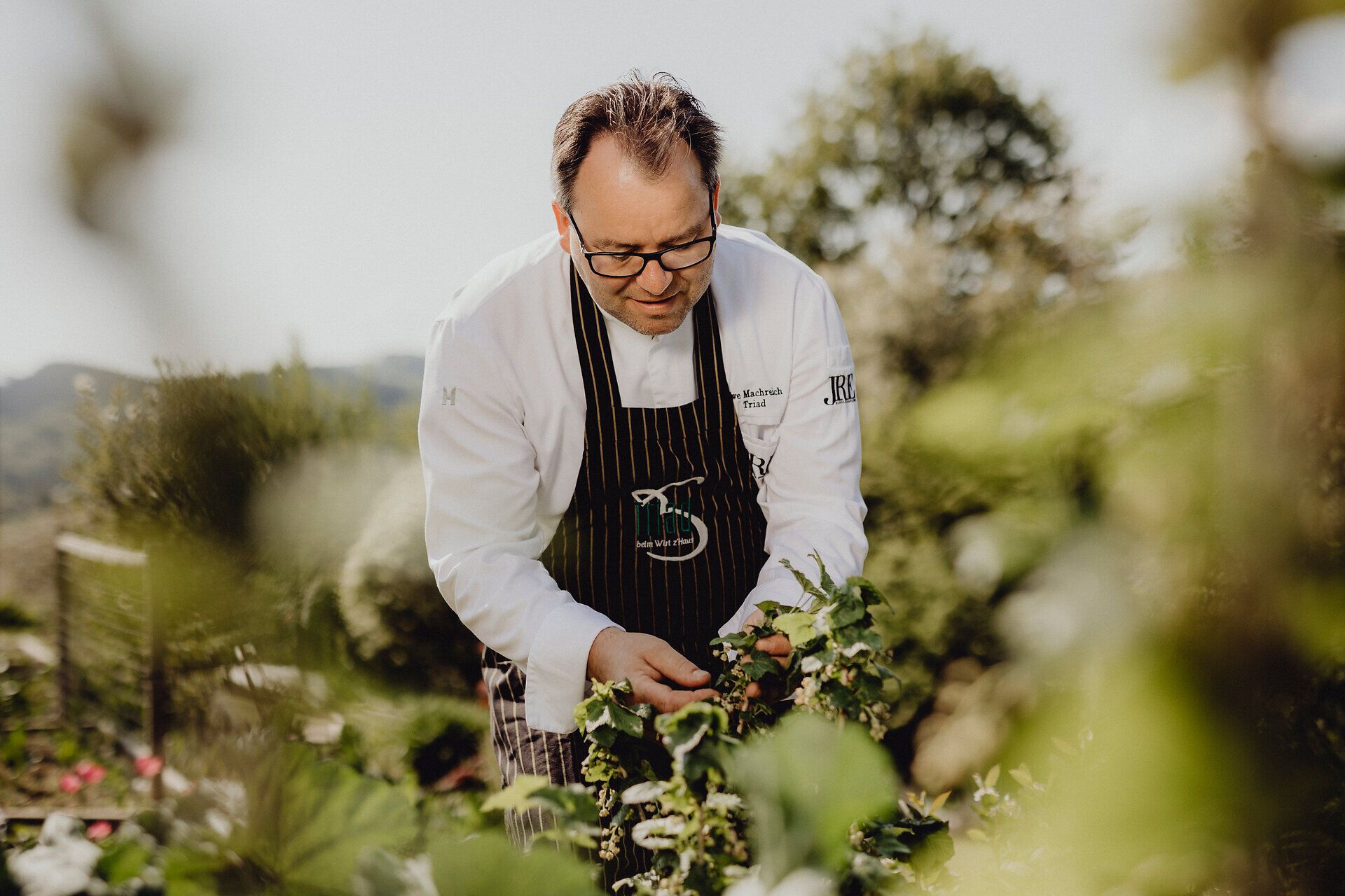Inmitten der üppigen Natur, umgeben von frischen Kräutern und Pflanzen, arbeitet ein leidenschaftlicher Koch, der die Aromen der Region einfängt. Die sanfte Brise und das Spiel des Lichts schaffen eine harmonische Atmosphäre, die die Sinne belebt und die Vorfreude auf kulinarische Genüsse weckt.