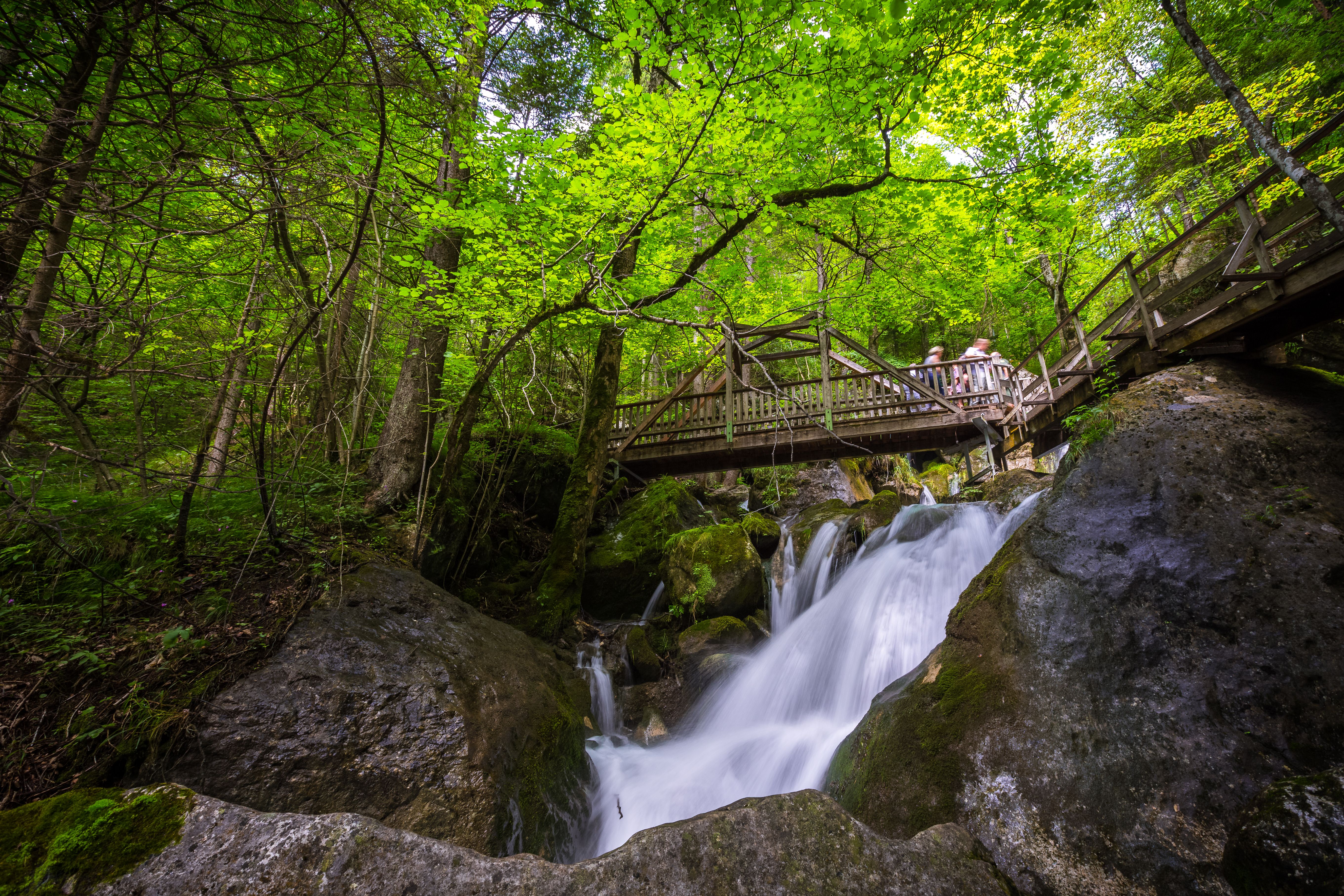 Wasserstrom von Holzstegen umgeben