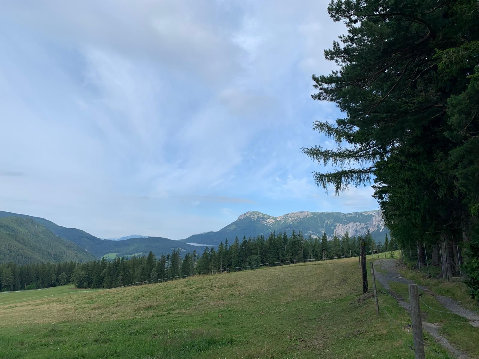 Mountain landscape with meadows, trees and a path leading into the forest.