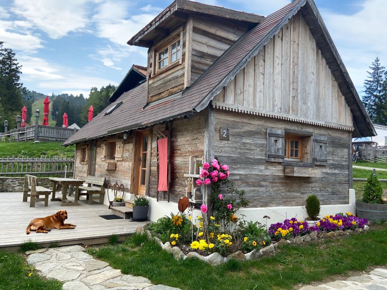 Eine rustikale Holzhütte mit Blumenbeet und einem Hund auf der Terrasse, umgeben von grüner Landschaft und roten Sonnenschirmen.