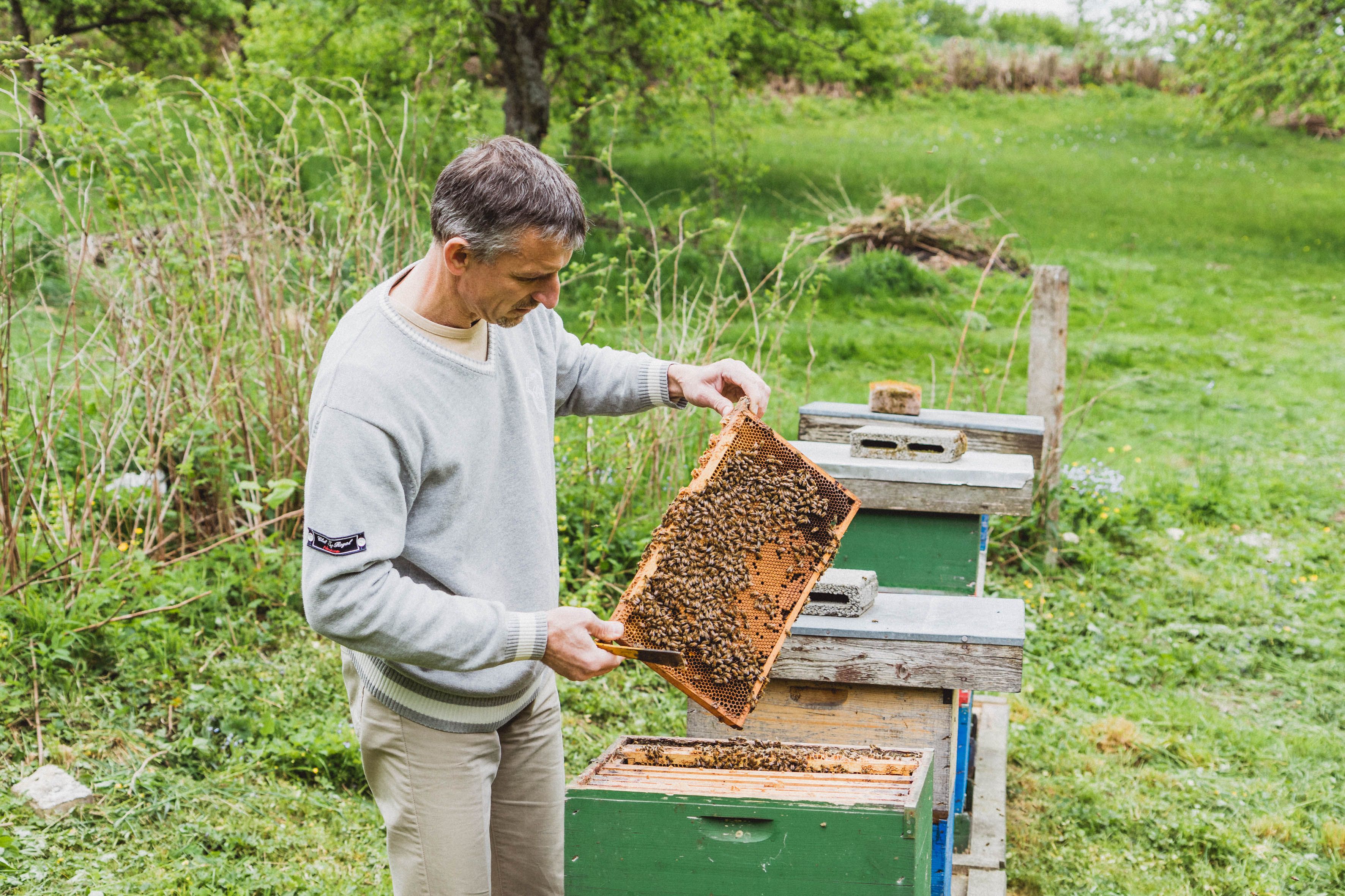 Mann betrachtet ein geöffnetes Bienenmagazin neben einem Bienenstock im Freien.