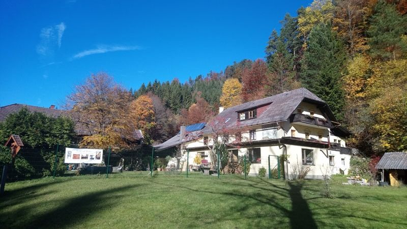 Ein großes Haus mit Schrägdach in einer herbstlichen Waldlandschaft.