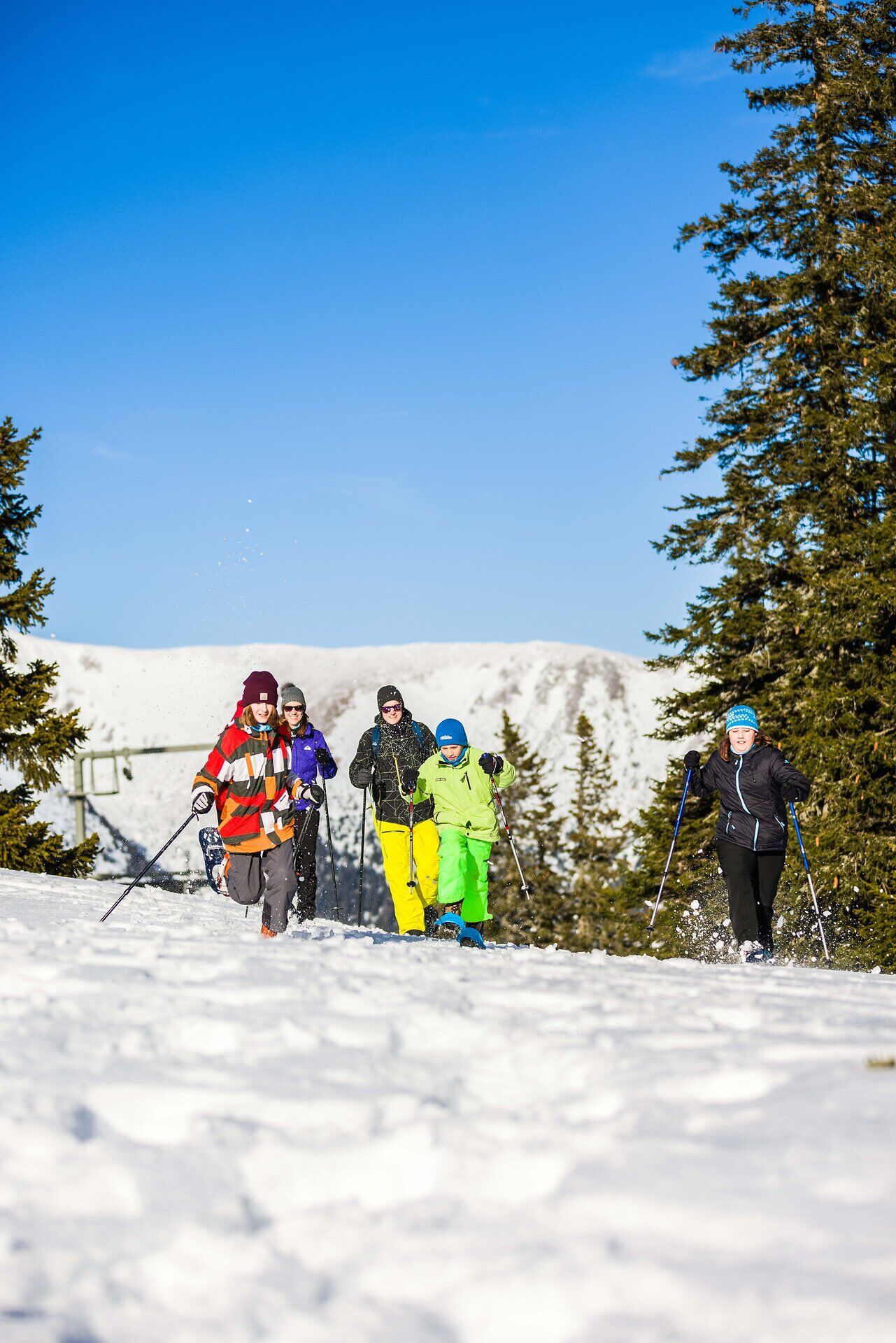 Eine Gruppe von begeisterten Schneeschuhwanderern erkundet die verschneite Winterlandschaft, umgeben von majestätischen Nadelbäumen und strahlend blauem Himmel. Die frische, kalte Luft und das Knirschen des Schnees unter den Füßen schaffen eine unvergessliche Atmosphäre der Ruhe und Erholung.