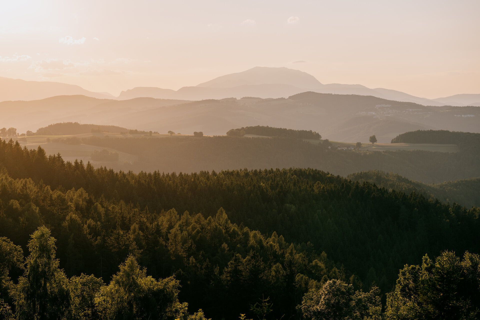 Landschaftsaufnahmen der Buckligen Welt im Sommer