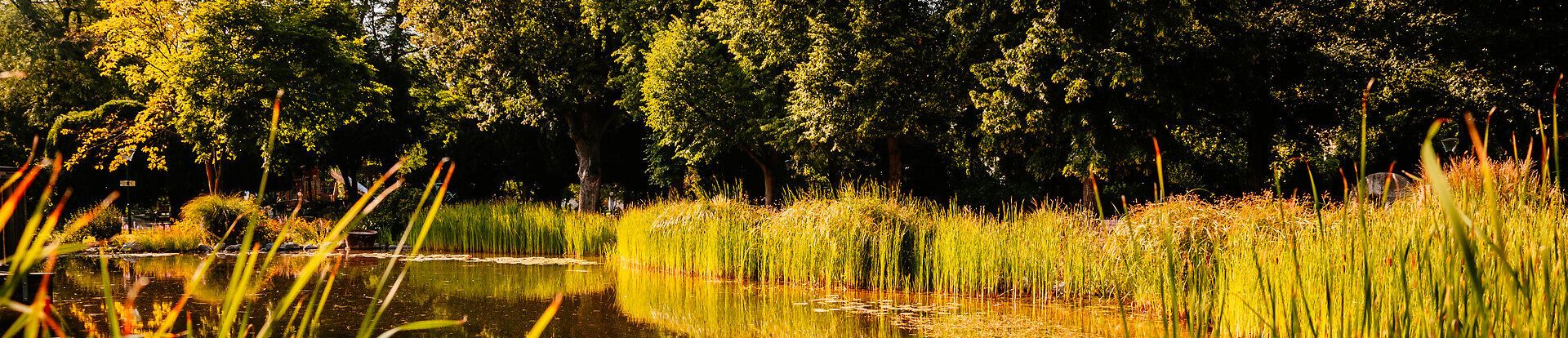 Sommer in der Stadt - (c) Busy Shutters_8047
