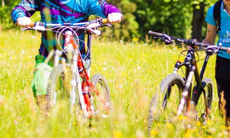Zwei Personen schieben Mountainbikes durch eine blühende Wiese.