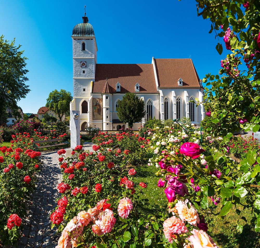 Der Rosengarten in Kirchschlag liegt direkt bei der Kirche.
