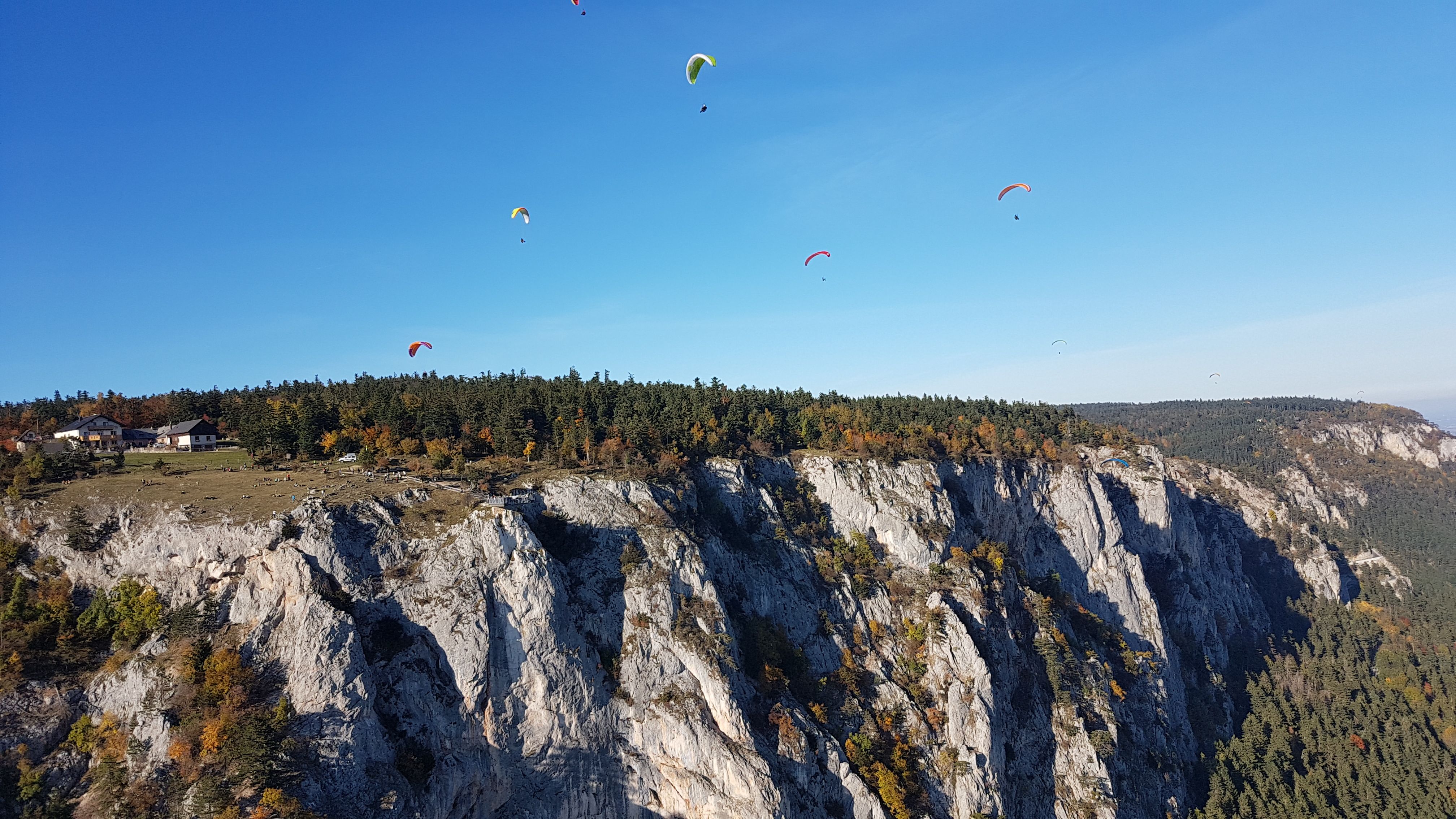 Paragliders in the air around the Hohe Wand
