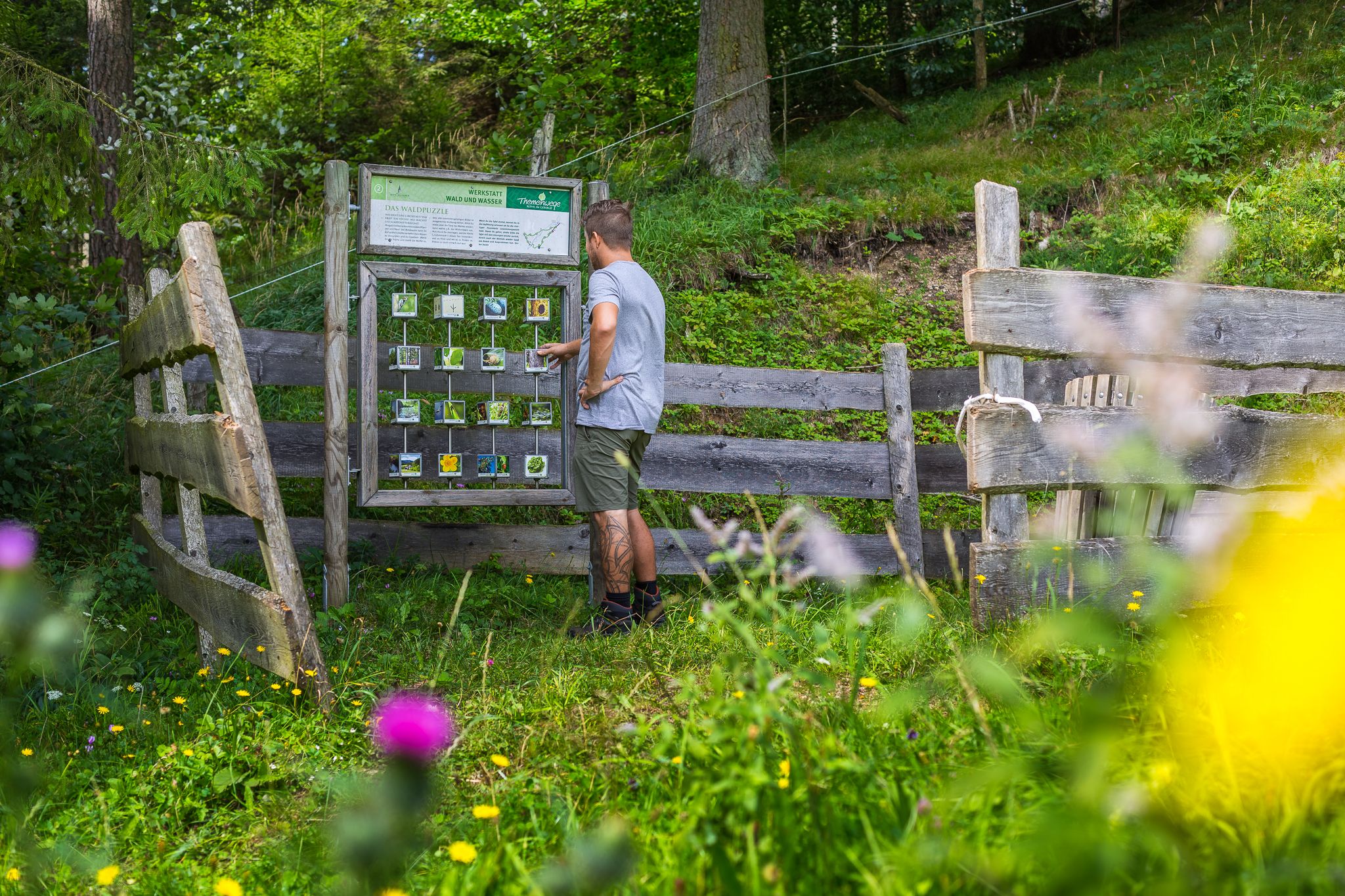 interaktive Spielkarte am Wegrand