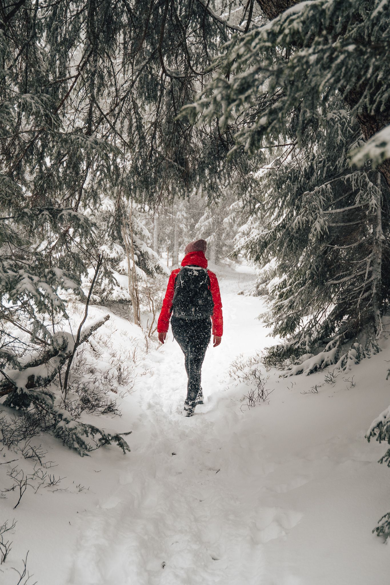 Panoramablick von der Rax ins verschneite Tal, die untergehende Sonne färbt das Tal orange.