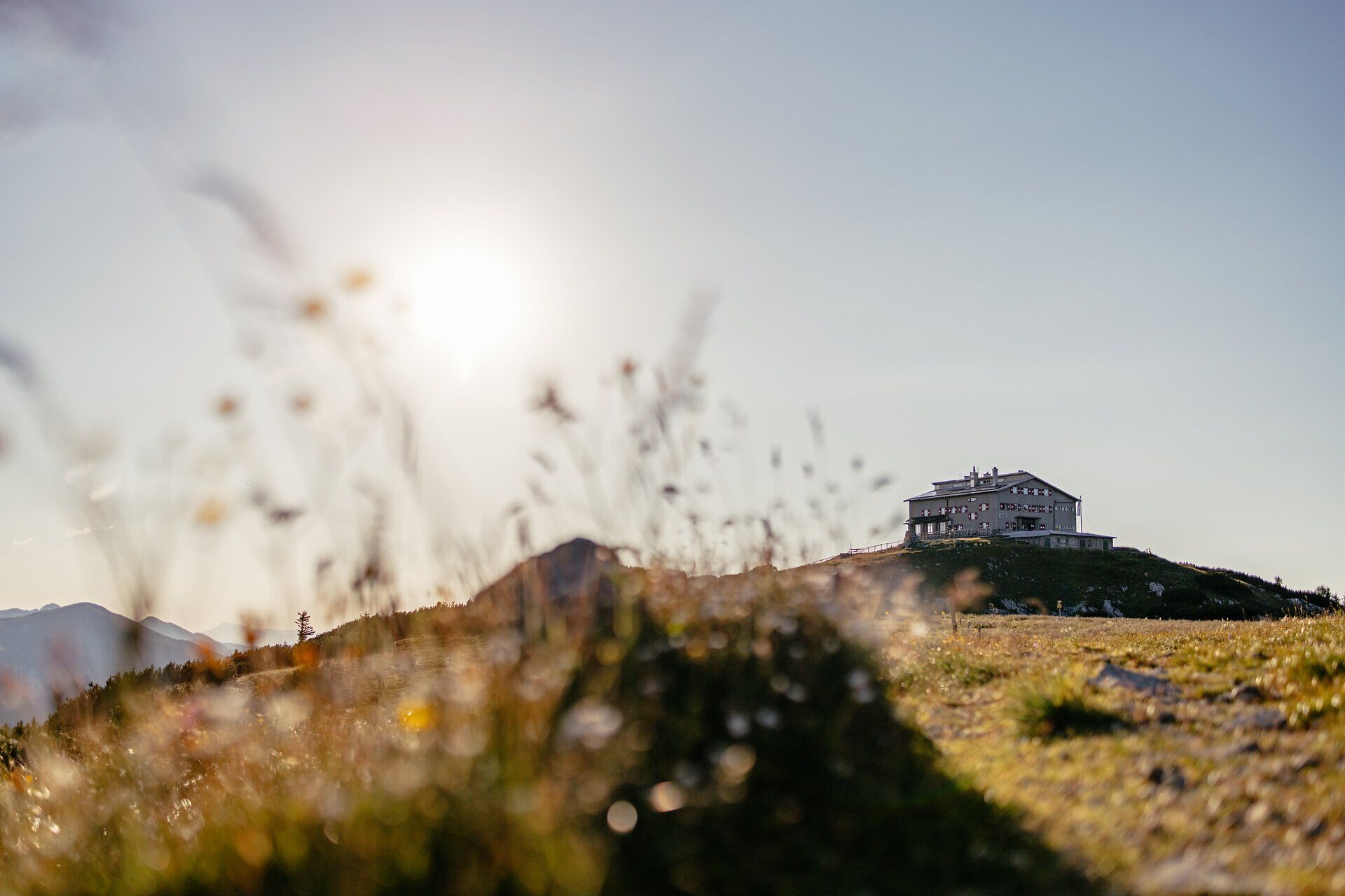 Die sanften Hügel der Wiener Alpen umarmen das majestätische Habsburghaus, während die Sonne sanft über die Landschaft strahlt. Hier, wo die Natur in voller Blüte steht, laden die blühenden Wiesen und der klare Himmel zu unvergesslichen Erlebnissen ein.