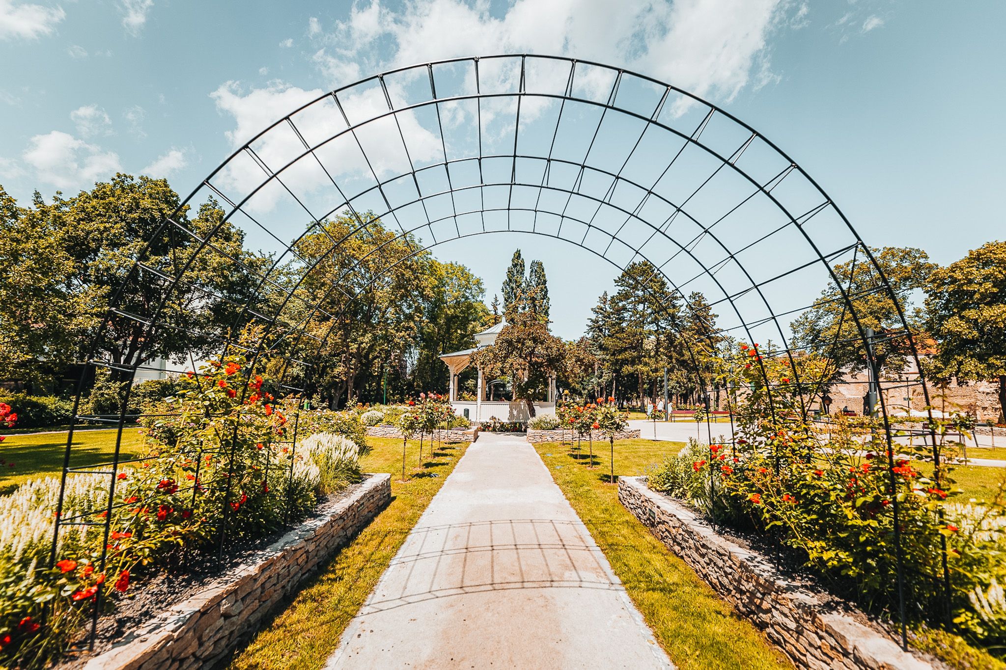 Rosenbogen im Stadtpark bei schönen Wetter 