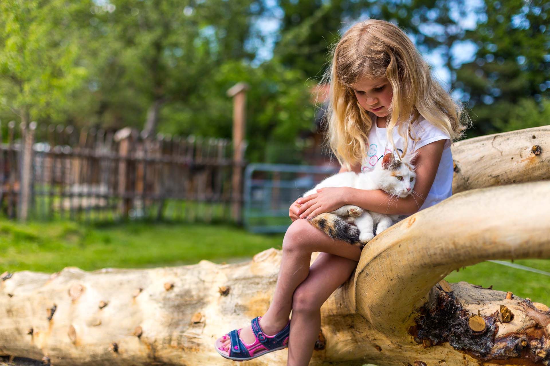 Ein Mädchen sitzt auf einem Baumstamm und hält eine Katze im Arm.