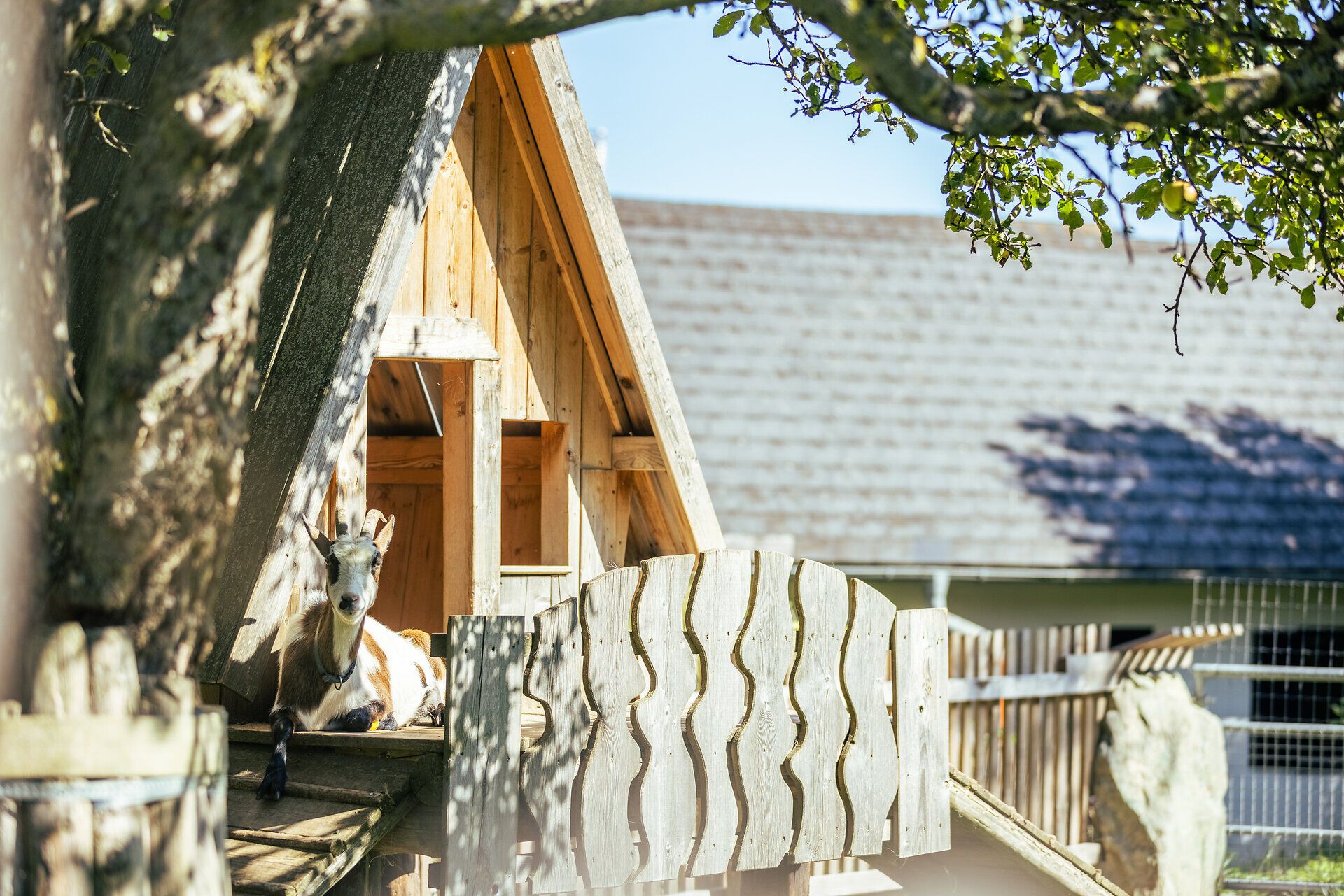 Der Ofnerhof in St. Corona liegt mitten in der Bergwelt des Wechselgebietes. Die Familienunterkunft bietet für Kinder unter anderem Ziegen und ein Spielzimmer.