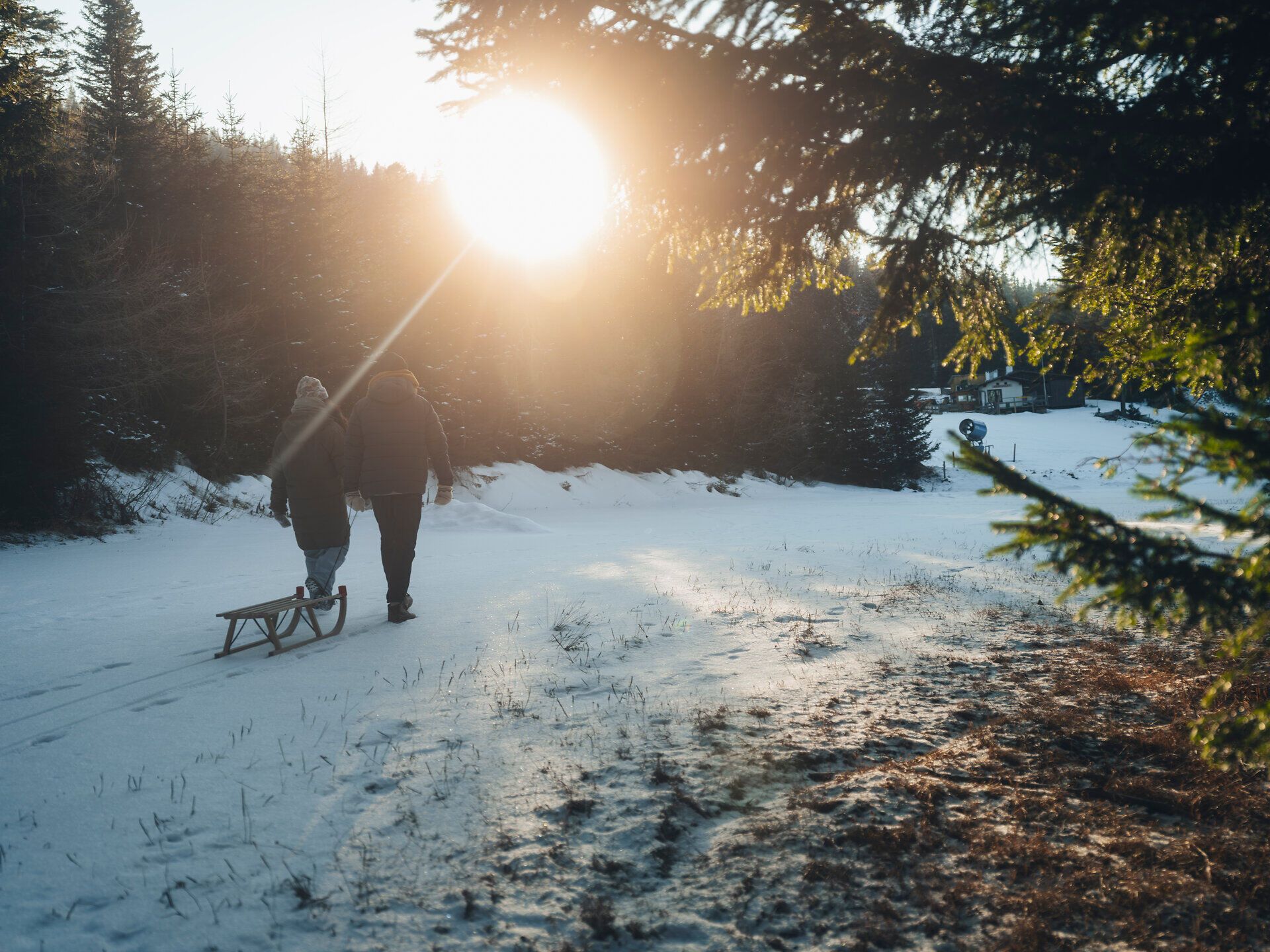 Ein romantischer Winterspaziergang führt durch die verschneite Landschaft, während die Sonne sanft hinter den Bäumen aufgeht. Paare genießen die frische Luft und die Stille der Natur, während sie einen Schlitten hinter sich herziehen. Die schneebedeckten Hügel laden zu einem unvergesslichen Rodelabenteuer ein.