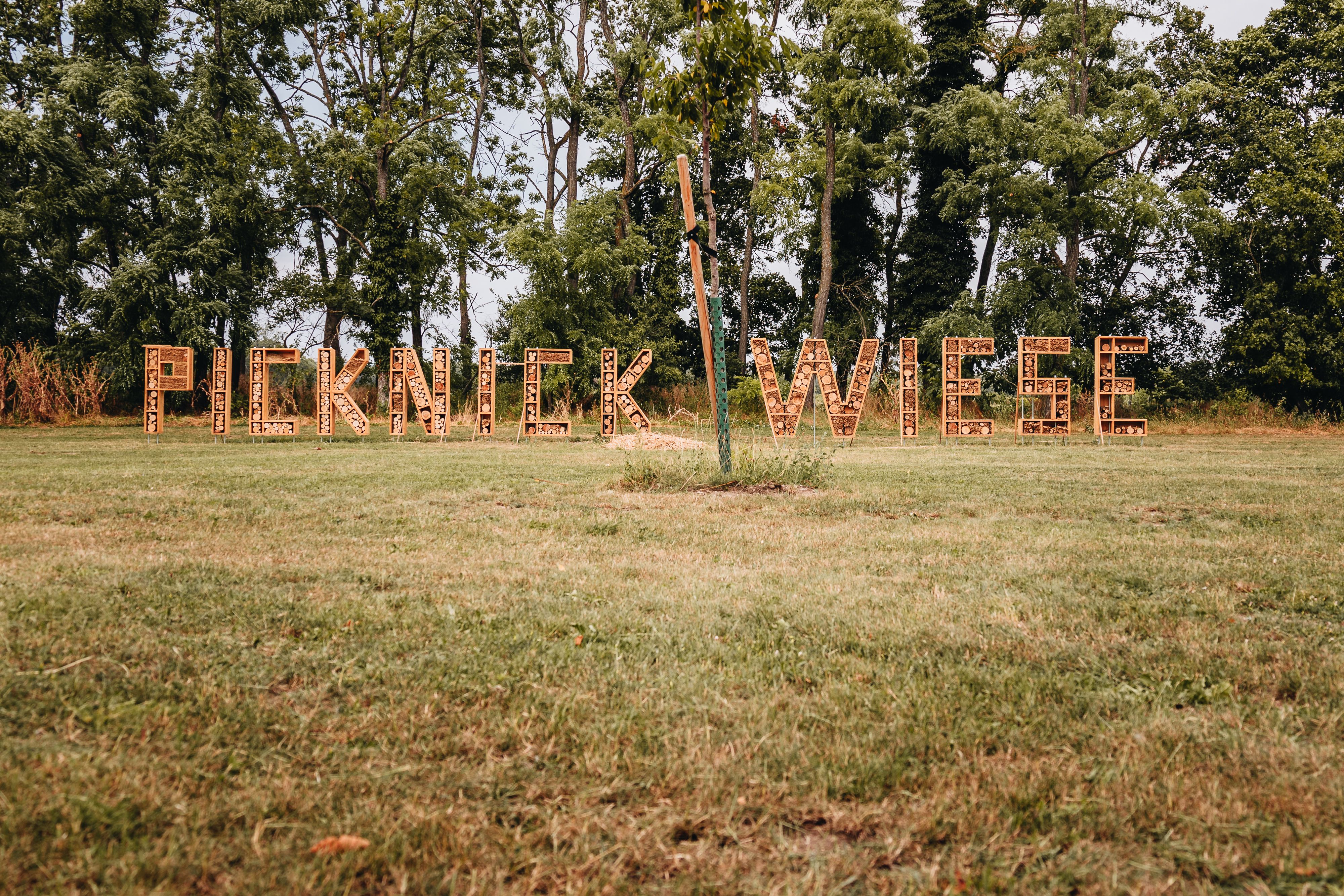 Picknickwiese in Holzbuchsstaben auf der Wiese 