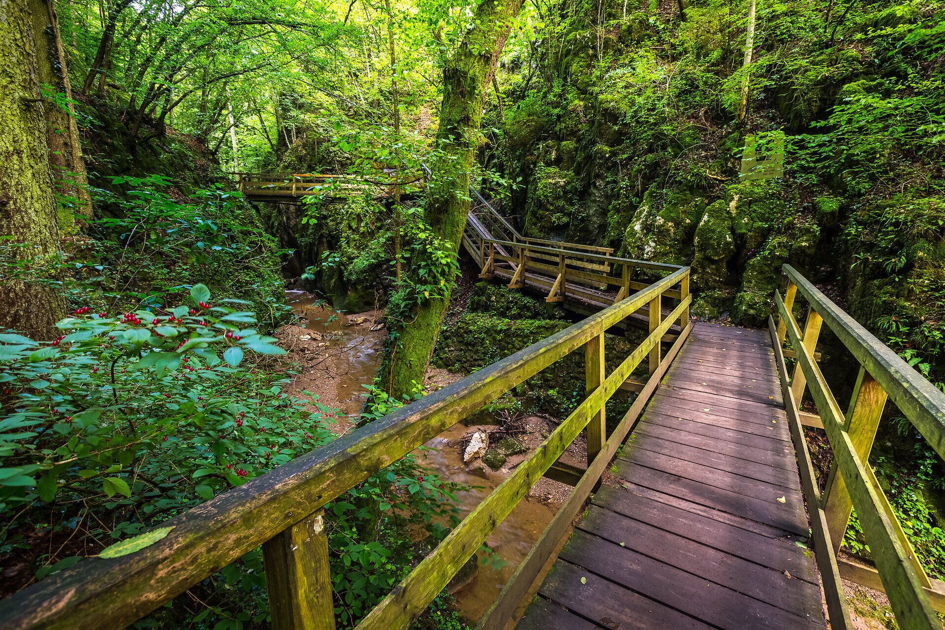 DIe Johannesbachklamm in Würflach ist auch an heißen Sommertagen ein ideales Ausflugsziel.