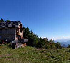 Hütte mit Holzfassade auf einer grünen Wiese