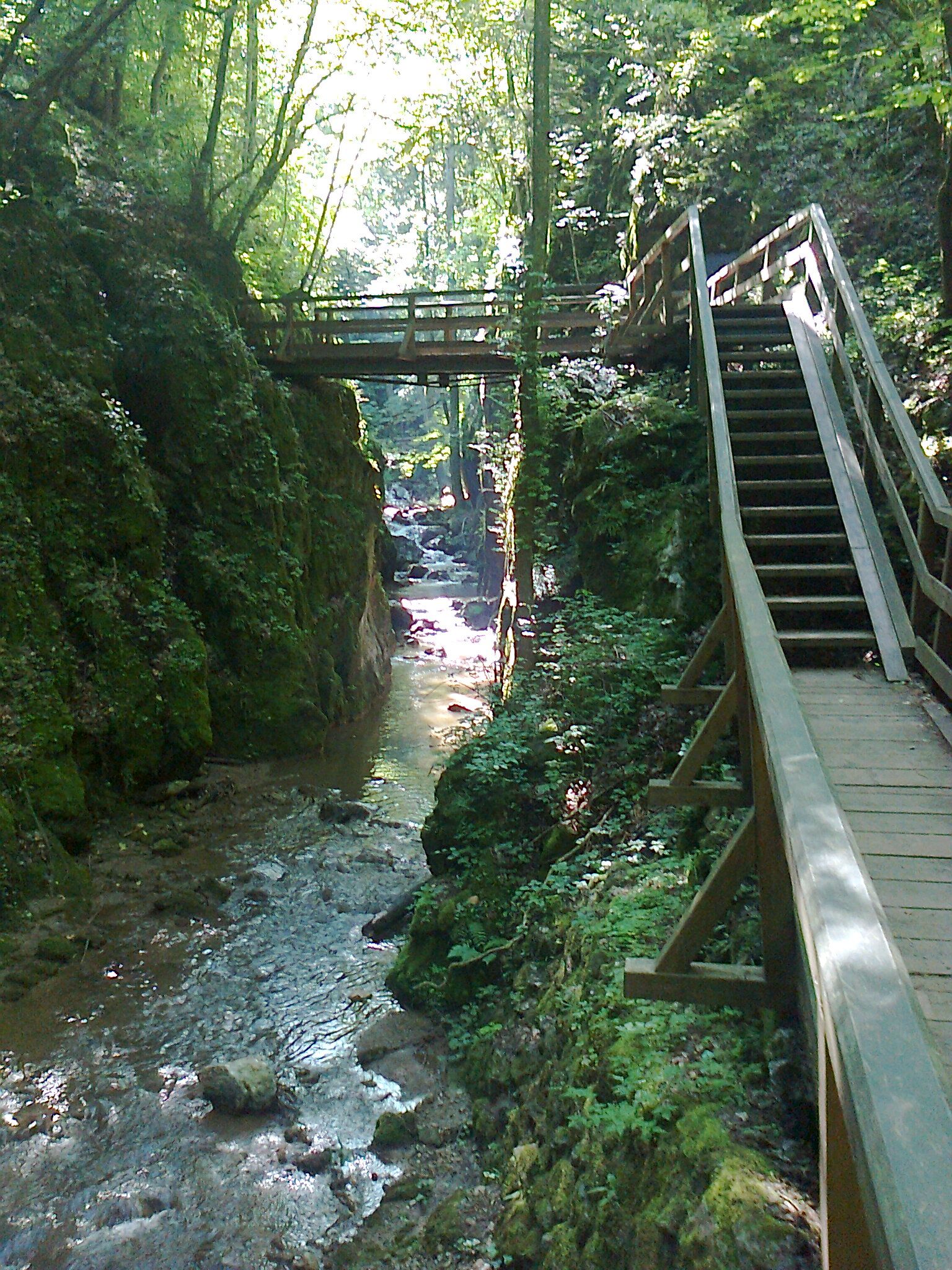 Holzbrücke und Treppe in einer bewaldeten Schlucht mit Bach.