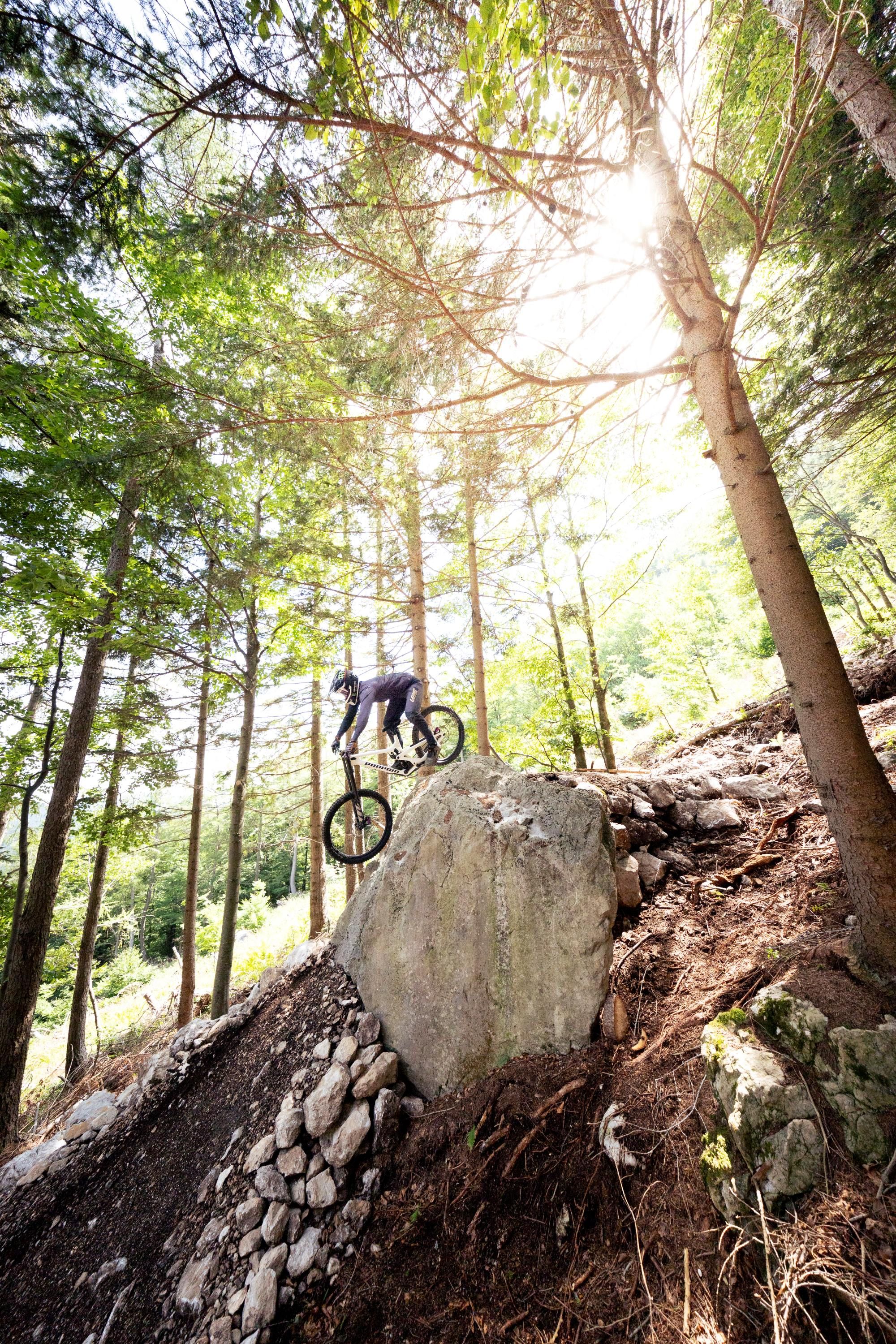 Ein Mountainbiker fährt einen steilen Felsen im Wald hinunter, während die Sonne durch die Bäume scheint.