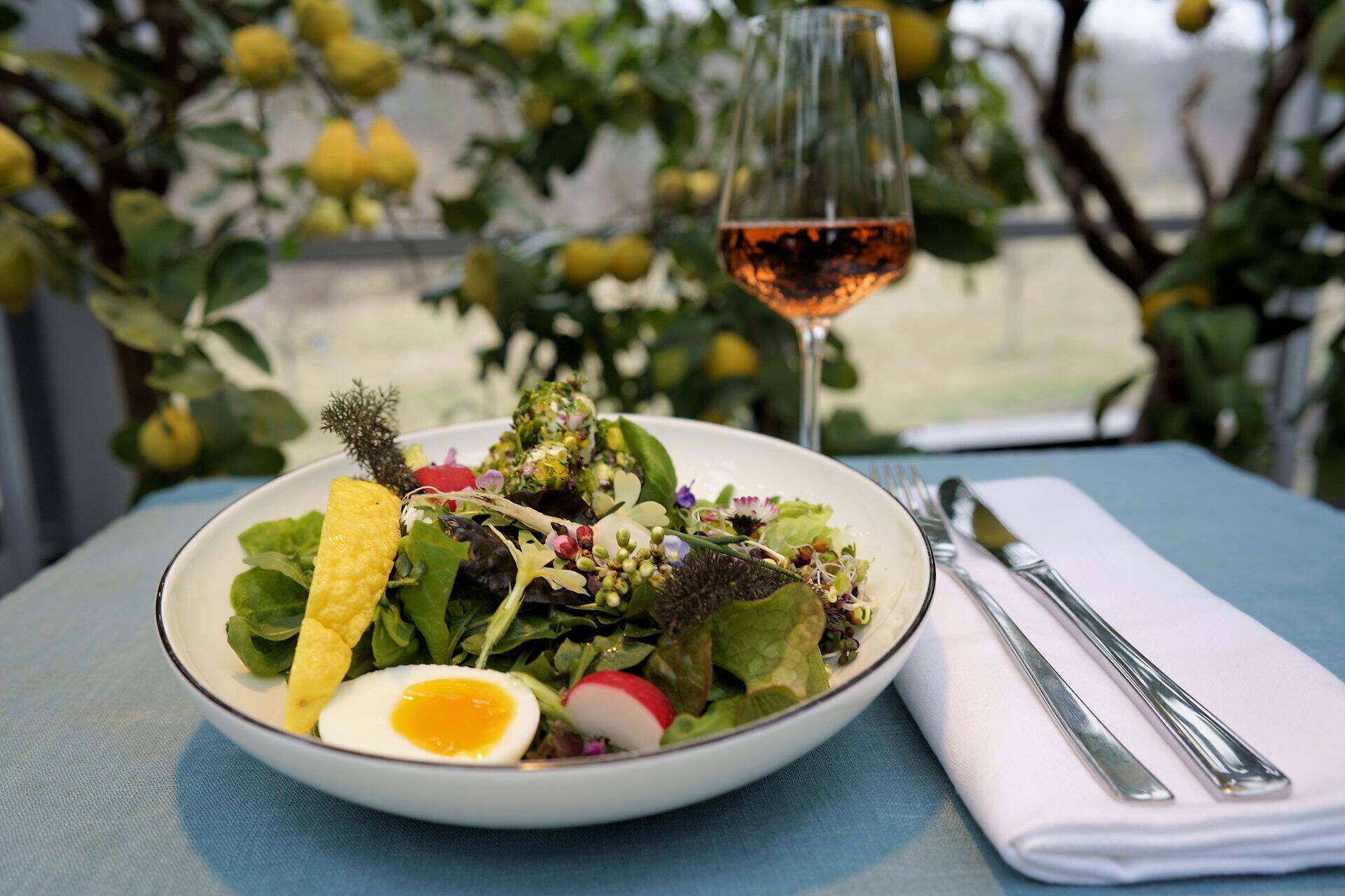 Ein frischer Frühlingssalat, liebevoll angerichtet mit buntem Gemüse und einem perfekt gekochten Ei, lädt zum Genießen ein. Dazu ein Glas Rosé, das die Aromen der Natur widerspiegelt und die Sinne belebt. Diese kulinarische Köstlichkeit verspricht ein unvergessliches Erlebnis inmitten der malerischen Wiener Alpen.