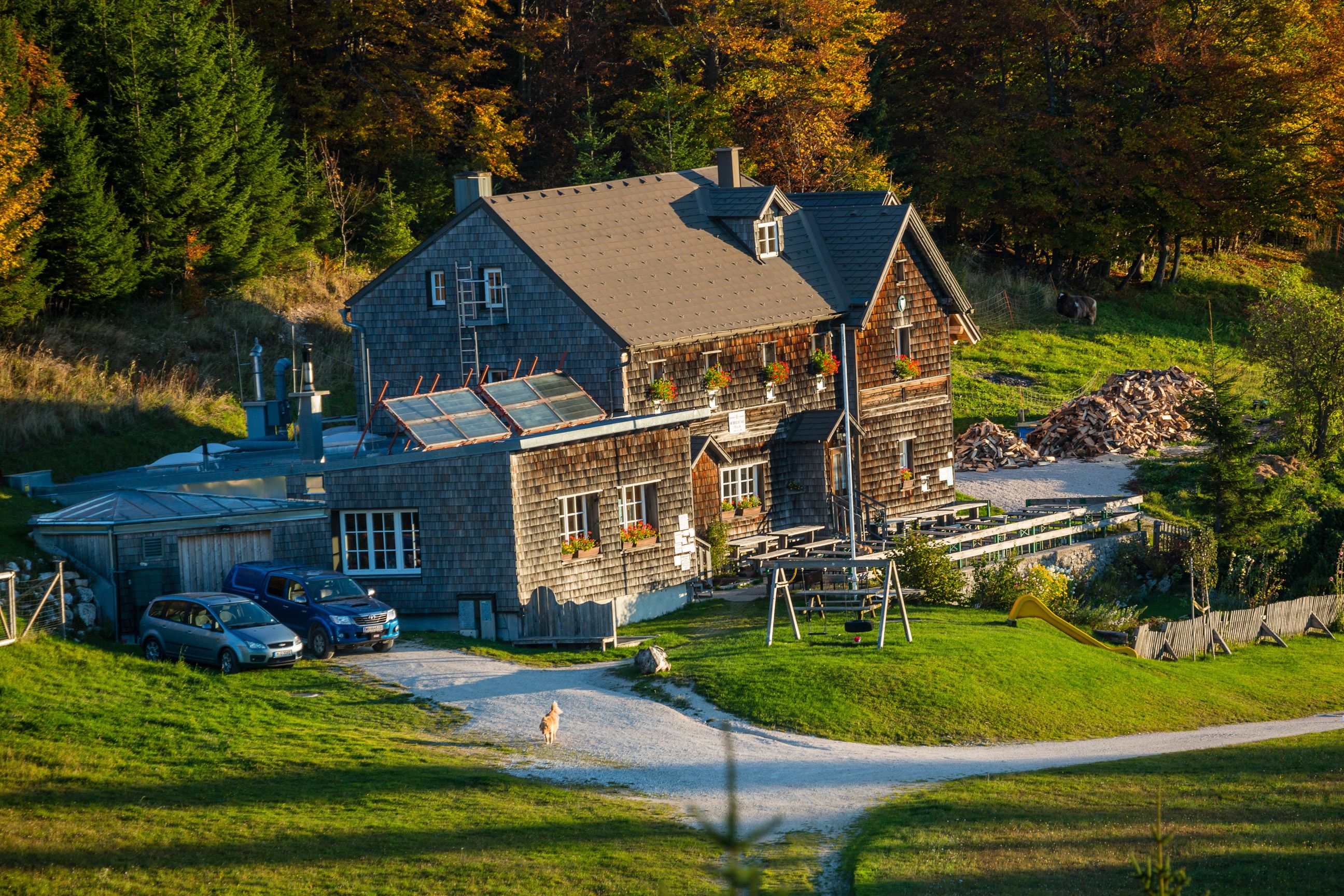 Unterberg Summit: A mountain cabin with a wooden facade in the forest, with a path, cars, and a small dog in front of it; autumnal trees in the background.