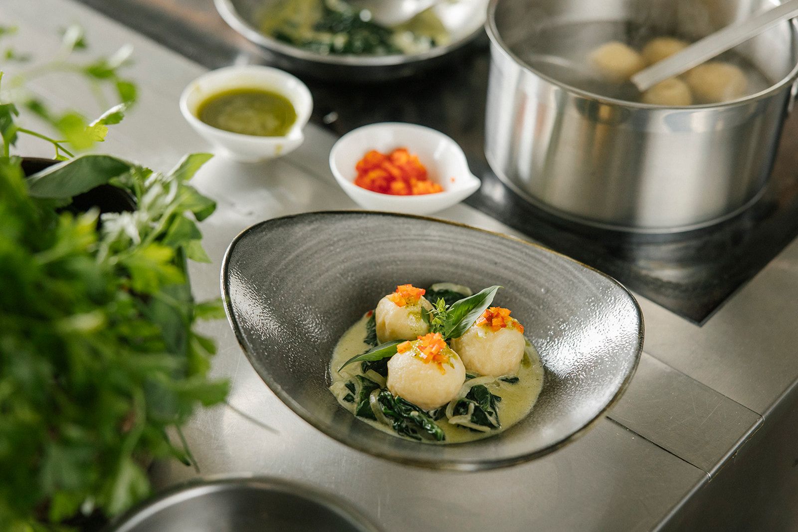 Knödel schön angerichtet neben einer Herdplatte und einem Topf