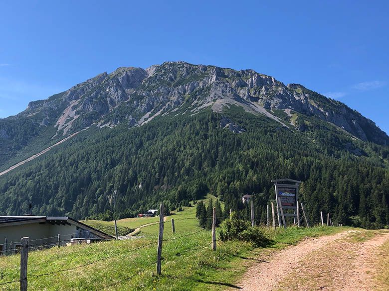 View of a mountain with a green forest and rocky peak under a blue sky.