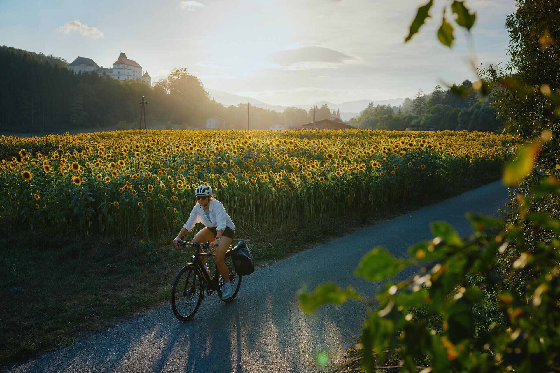 Radfahren am Feistritztalradweg in der Region Wechsel