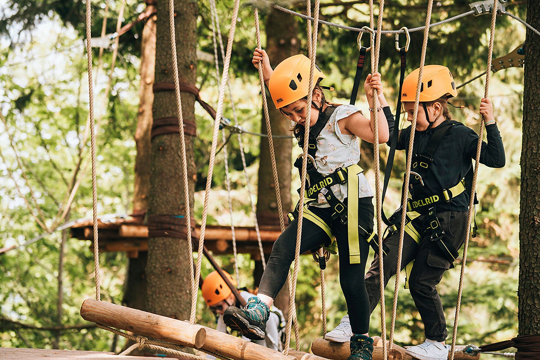 Inmitten der grünen Baumkronen erleben Kinder ein aufregendes Abenteuer im Waldseilgarten. Mit strahlenden Helmen und voller Entdeckerfreude meistern sie die schwebenden Hindernisse und genießen die frische Luft der Natur. Hier wird Teamgeist großgeschrieben, während sie gemeinsam die Herausforderungen meistern.