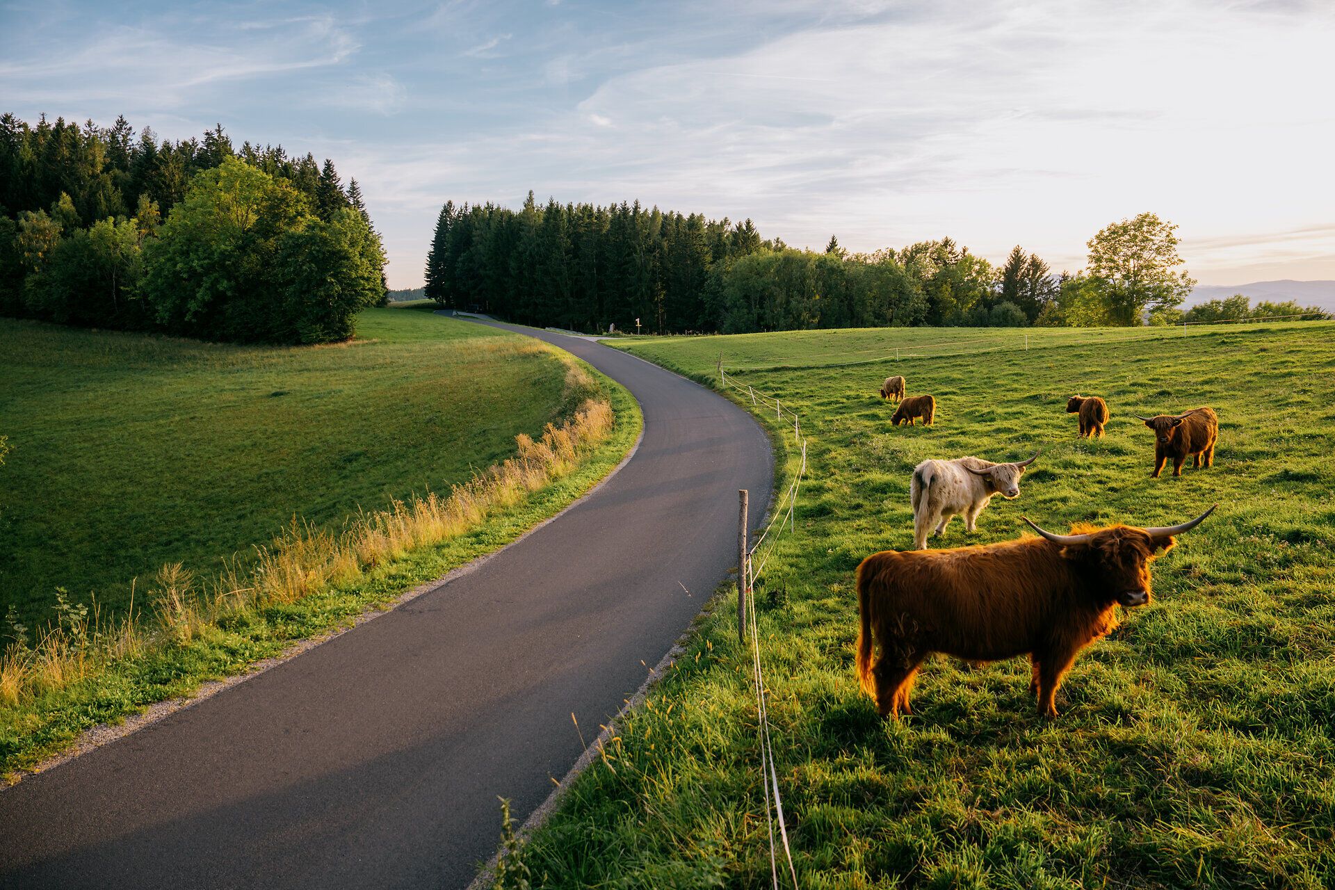 Landschaftsaufnahmen im Herbst von der Buckligen Welt