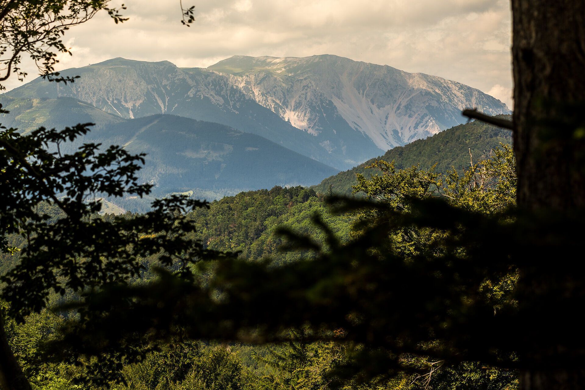 Ein wunderbarer Ausblick von der Ruine Schrattenbach und der Rotte Greith auf den Schneeberg.
