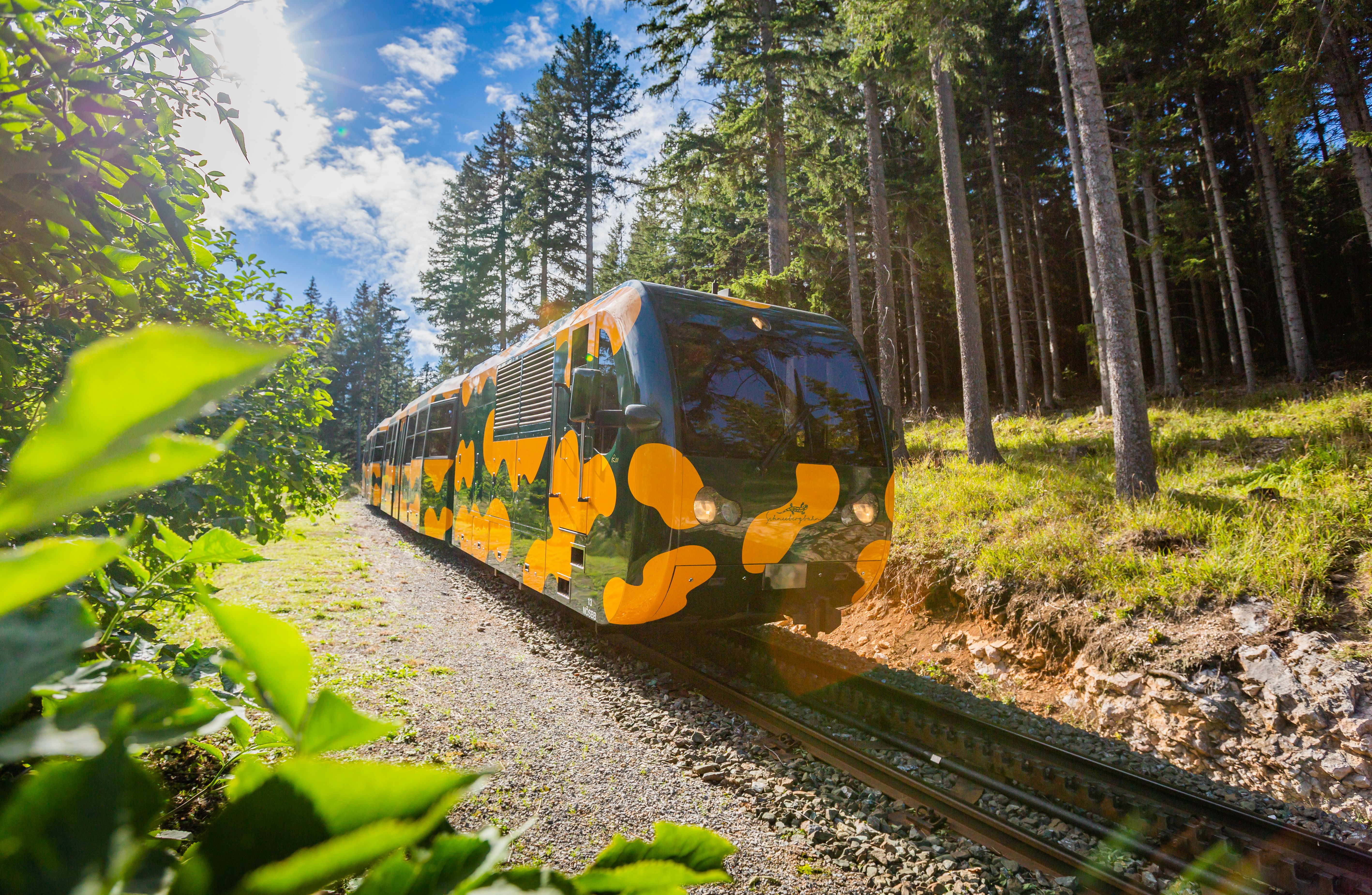 Salamander der Schneebergbahn während der Fahrt