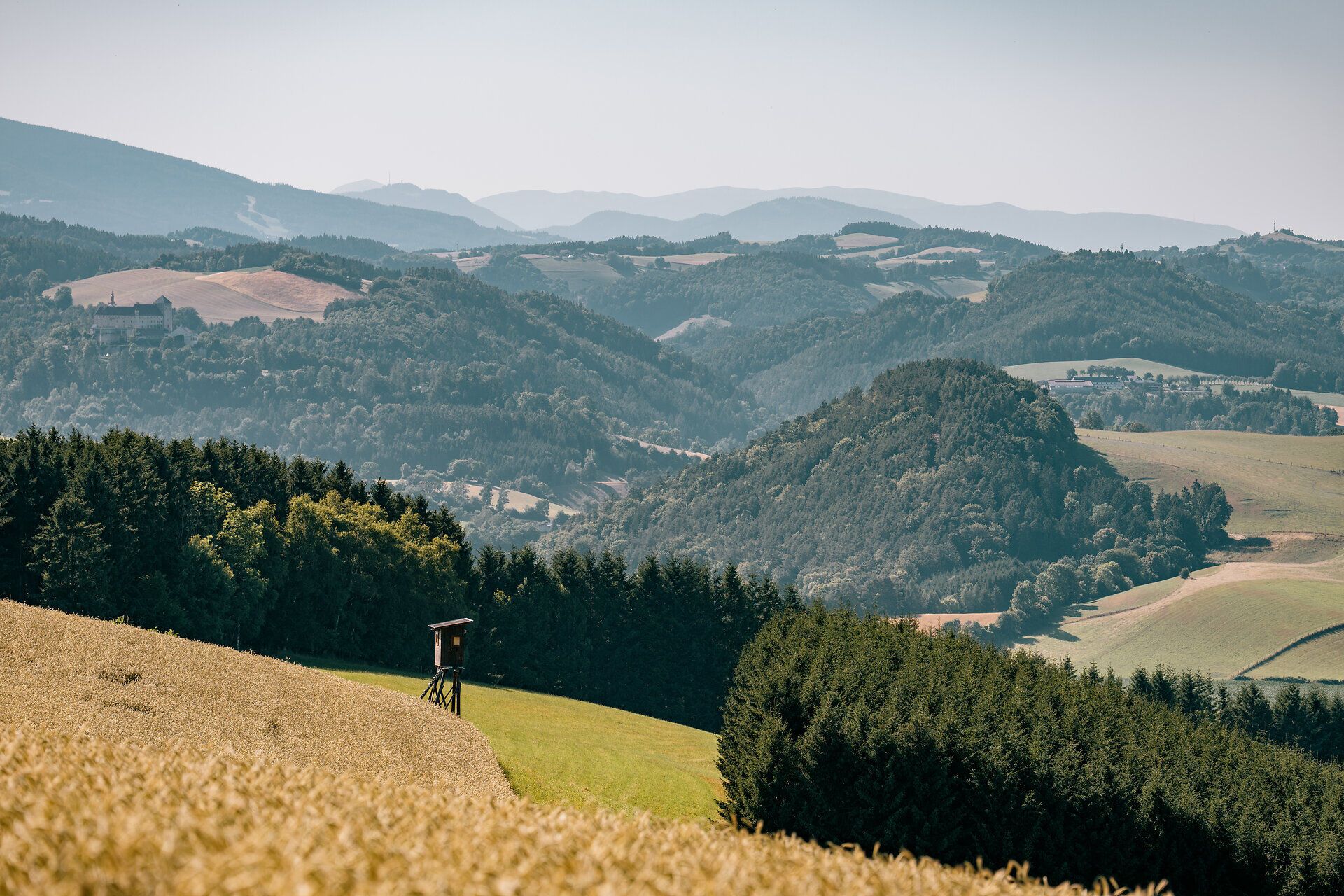 Landschaftsaufnahmen der Buckligen Welt im Sommer