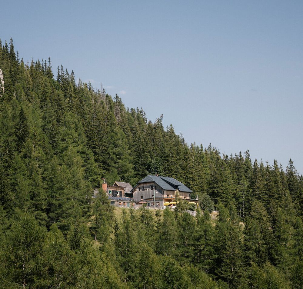 A log cabin on the Rax, surrounded by dense mountain forest