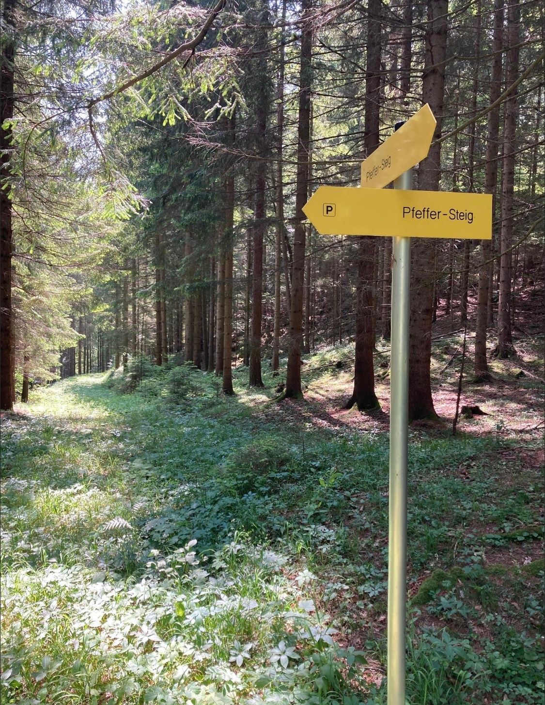 Pfeffer Steig Beschilderung