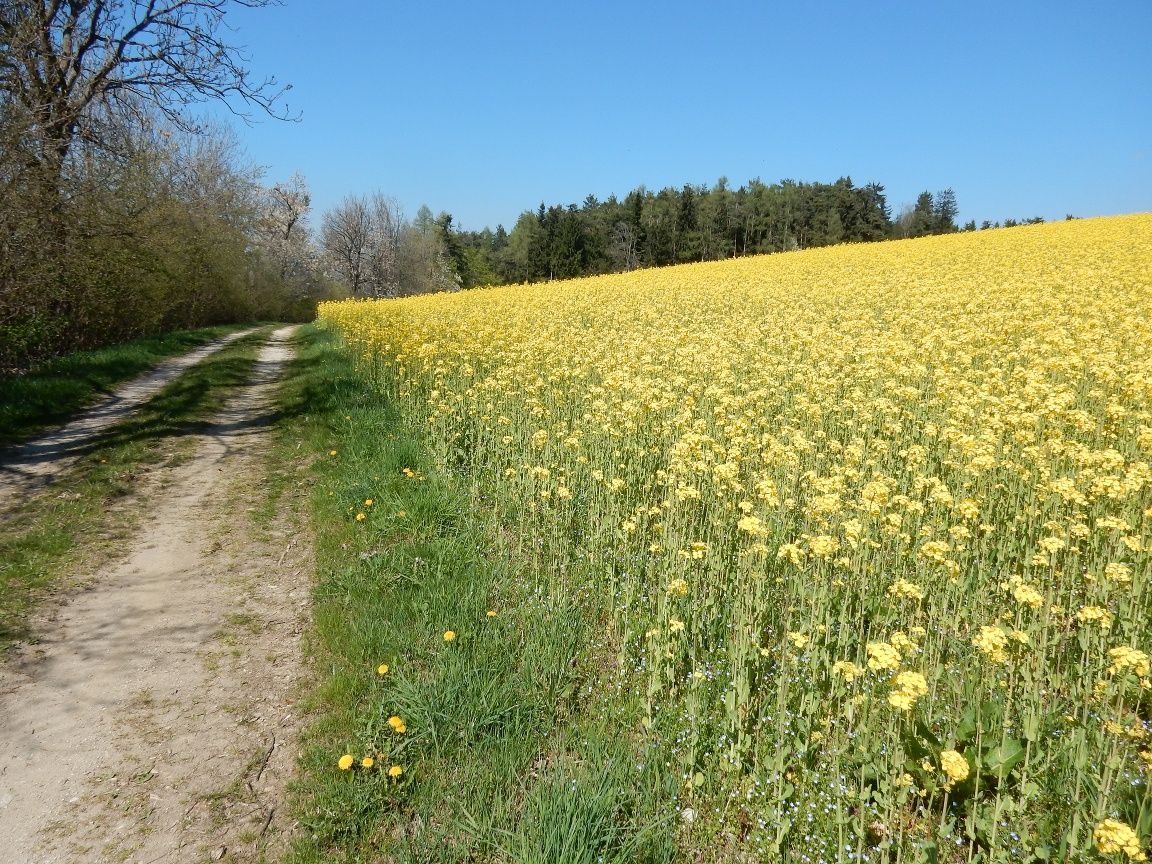 Hiking in Edlitz | Bucklige Welt