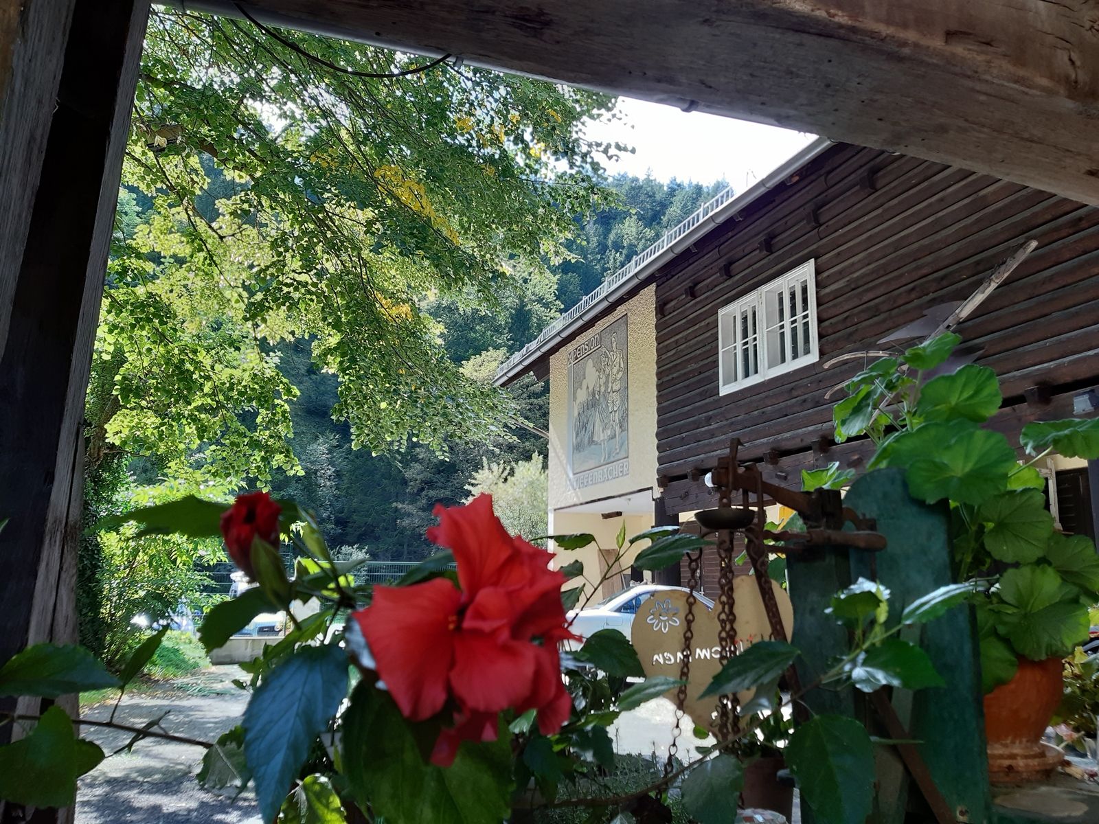Ein traditionelles Holzhaus mit roten Blumen im Vordergrund und grünen Bäumen im Hintergrund.