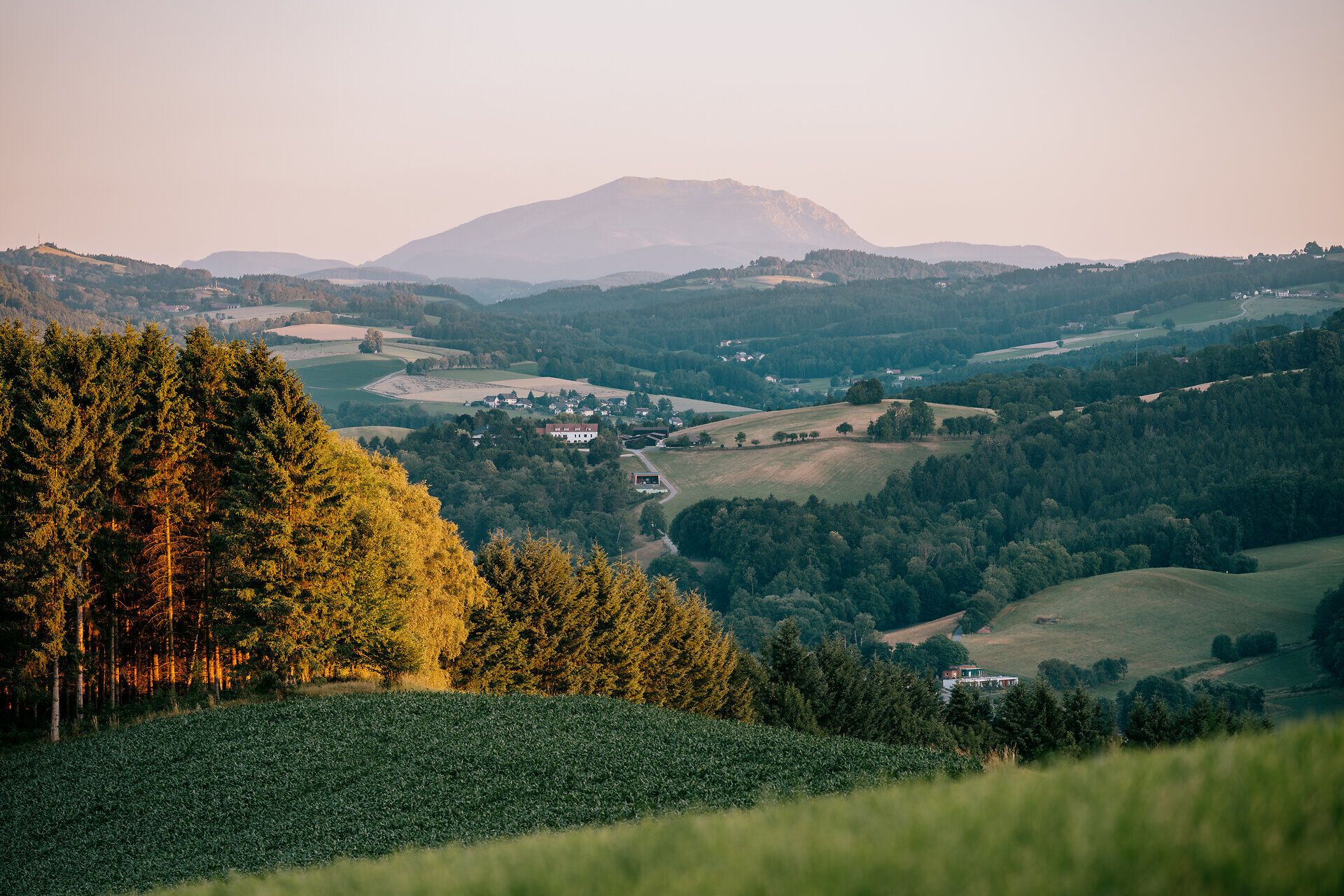 Landschaftsaufnahmen der Buckligen Welt im Sommer